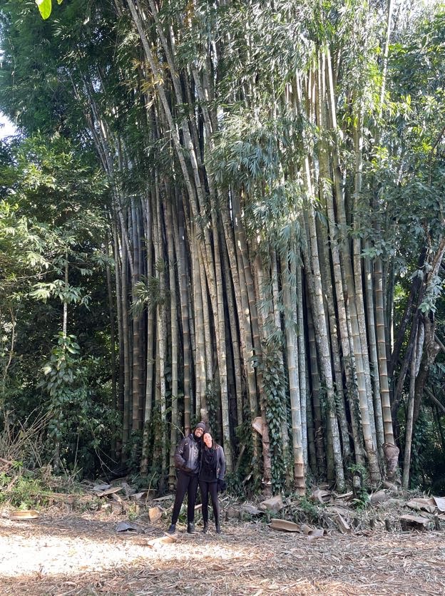 Estar diante da imensidão da natureza é um lembrete silencioso da nossa “pequenice” no mundo🌳
Eu fiquei admirada com esses bambus! E o que me ajudou a achá-los foi o "som" que faziam junto com o vento. Nunca tinha ouvido nada parecido.
O bambu, para quem não sabe, é frequentemente usado para falar sobre resiliência, paciência... e eu acrescentaria humildade. Sabe por quê?
Por mais que ele cresça alto, forte e resistente, é flexível o suficiente para se curvar ao vento. Sua grandeza não o tornou rígido. Incrível, né?
Do mesmo jeito que nossa pequenice não nos define como vulneráveis ou incapazes para a vida. Tudo é uma questão de percepção e sabedoria em saber como agir frente a cada situação, independente da sua força ou tamanho.
A verdadeira força está no que muitos chamariam de mínimo esforço: está no respirar fundo em vez de lutar contra o vento. Ou se silenciar para ouvir antes de reagir. No ser flexível para não se partir ao meio.
Esses gestos simples, muitas vezes invisíveis, é que revelam nossa verdadeira grandeza! Viva Bambu 💚
—
Beatriz Job 🌻
Psicóloga CRP 06/139342
www.beatrizjob.com
#bambu #serradomar #caraguatatuba #humildade #respira #autoconhecimento #terapiaonline #psicologaonline