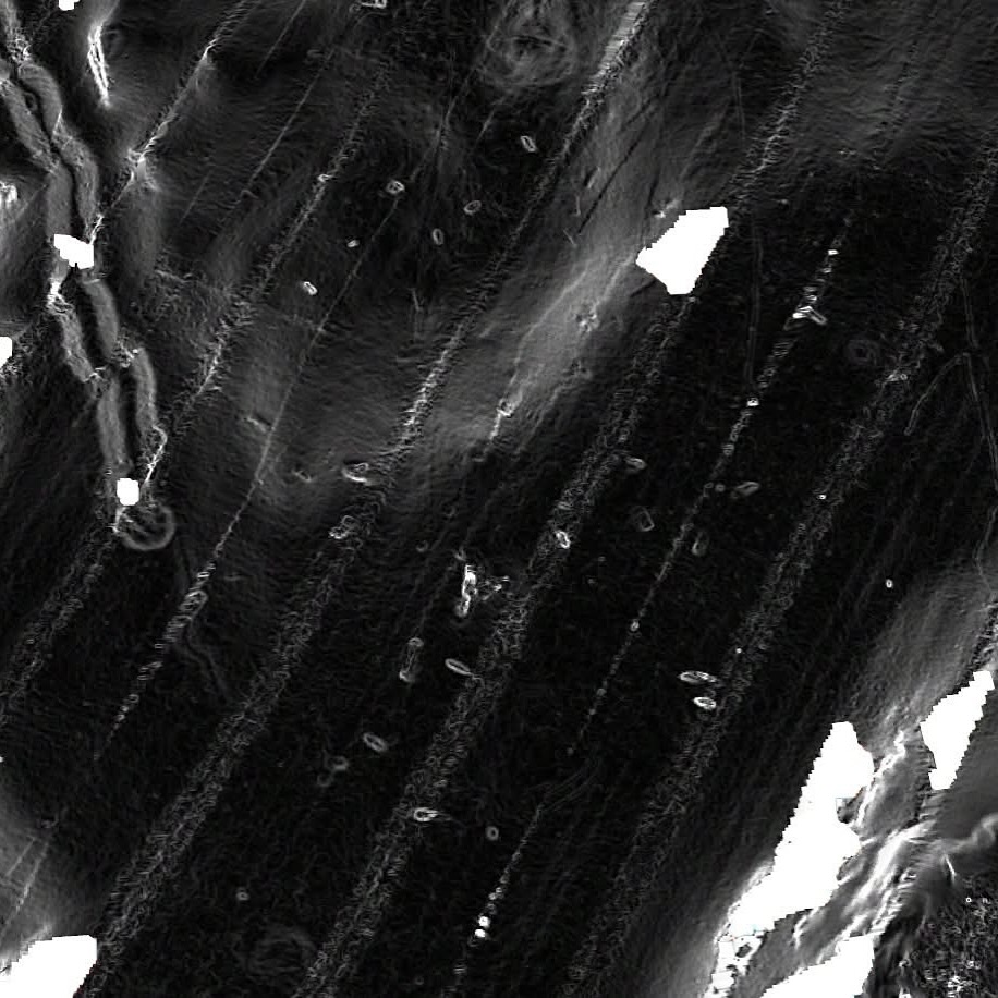 Litt «next level» nerding. Jeg har gjort en raster analyse av et område i Oslofjorden. Hvis noen lurer på om det dumpes båter i fjorden. Ja det gjør det. 😳
.
.
.
#oslofjorden #oslofjordenfriluftsråd #båtvrak #dumping #miljø #skipsvrak #reddoslofjorden #forsøpling #forurensing