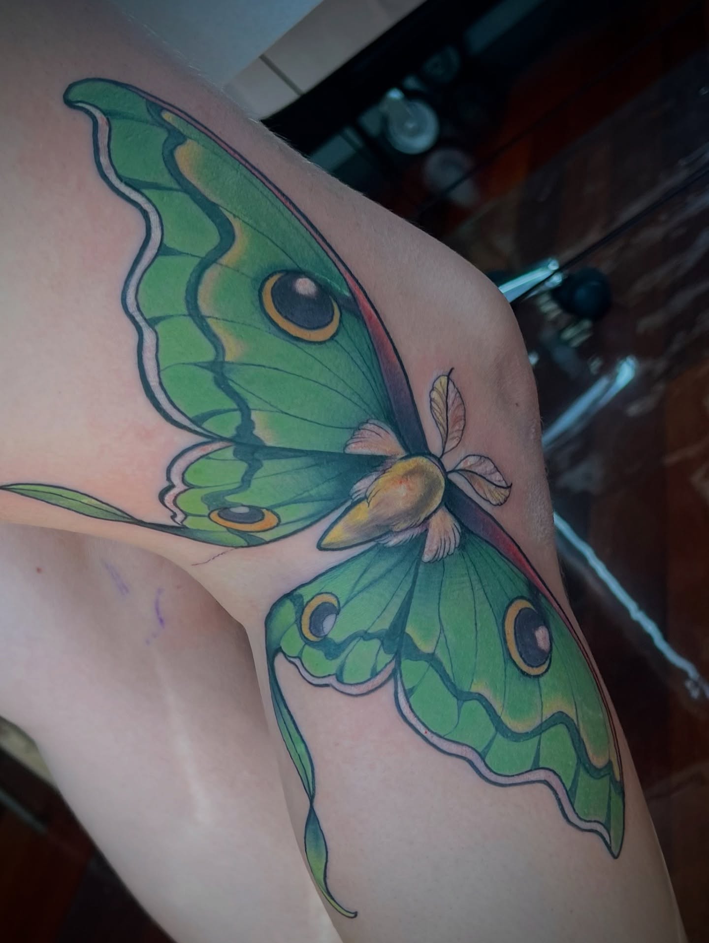 I’ve gotten to do so many moths lately and I 👏 Love 👏 It 👏 Give 👏 Me 👏 More 👏 Moths 👏
#lunamoth#mothtattoo#legbendtattoo #naturetattoo #tattoo #girlswhotattoo #kentuckytattooers #neotradtionaltattoo #illustrativetattoo #eternalinks#procreate#bishoprotary#paducahcreativecity#neotrad