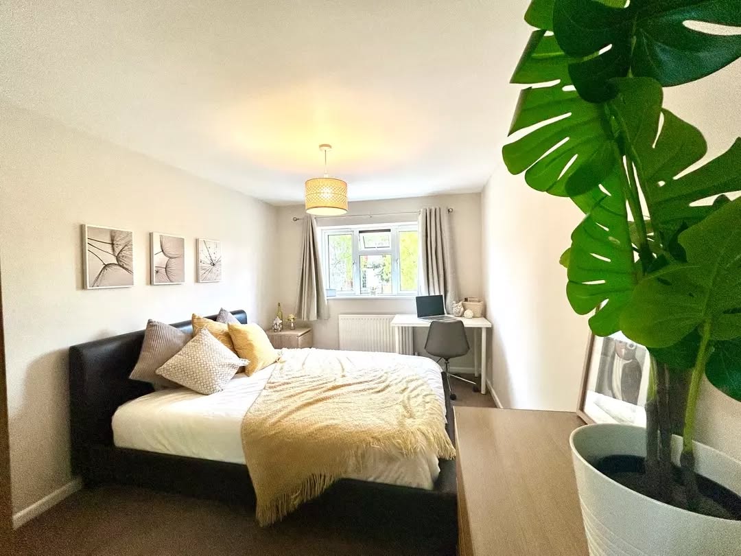 Welcome to Snug 💛 Where your dreams of a home become reality 📞