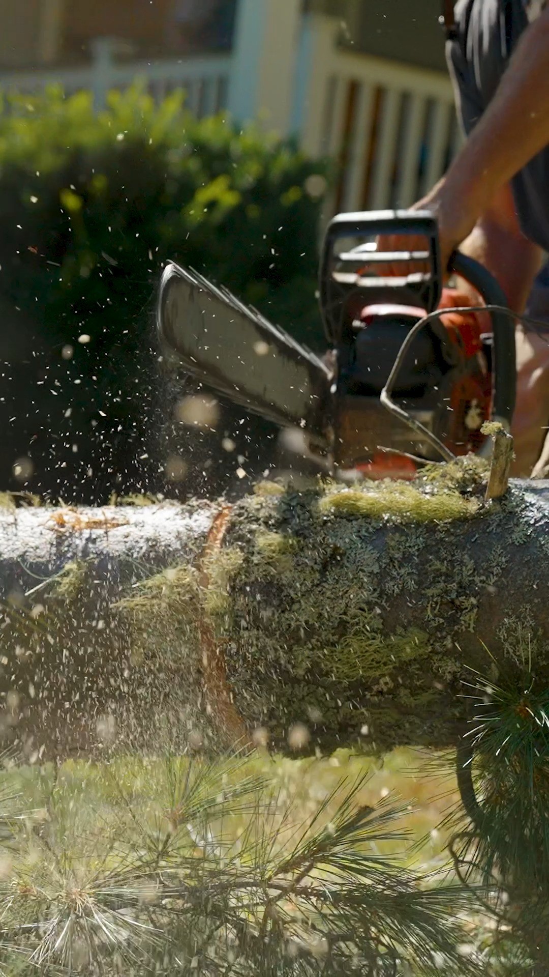 Can’t wait to do it again tomorrow.
.
.
.
.
#belangertreecare #arborist #arboristsofinstagram #skowhegan #skowheganmaine #forestry #chainsaws #centralmaine #mainebusiness #treecare #treecarebusiness #treeclimbers #logging