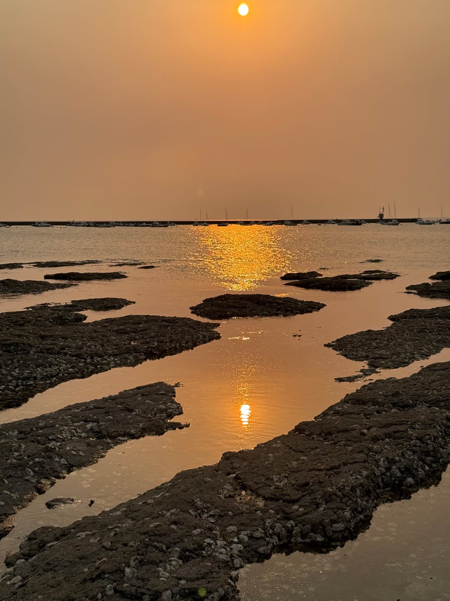 „Du planst eine Reise im Wohnmobil oder Van? 🚐
Diese 10 Dinge machen unser Vanlife leichter, schöner und entspannter – vom Kaffee bis zur Gelassenheit.
👉 Den ganzen Artikel findest du im Blog (Link in Bio).
Was ist DEIN absolutes Vanlife-Must-have?
#vanlife #vanlifediaries #vanlifeblog #wegestattwaende #wegestattwände #vanlifegermany #vanlifemusthaves #minimalismus #loslassen #neuanfang #wohnmobilleben #selbstfürsorge #blogpost