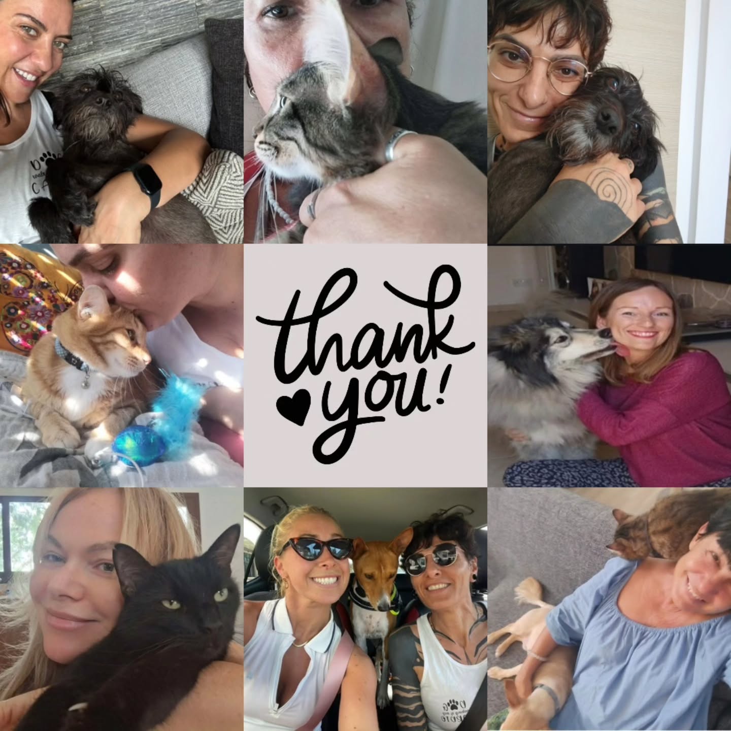 A heartfelt thank you to our incredible pet sitting team. 🐾
This summer, while many were away enjoying their holidays, you worked tirelessly to ensure every cat and dog in our care received the highest level of love, attention, and service. 🐶🐱
Your dedication, professionalism, and compassion made all the difference — giving peace of mind to pet parents and happy days to their furry companions. We are truly grateful for all that you do. 💛✨
#petsitting #wearepro #dogwalks #petsitter #cats #doglover #petsittingservices