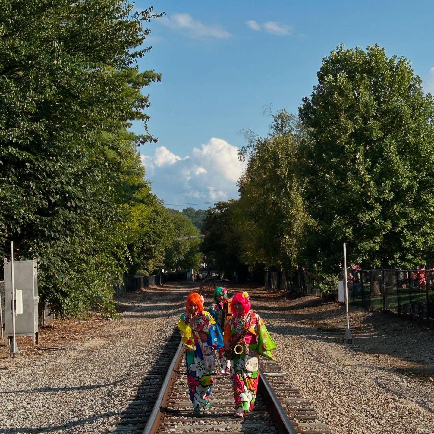 Bentenya walking on a railroad track in Knoxville, TN