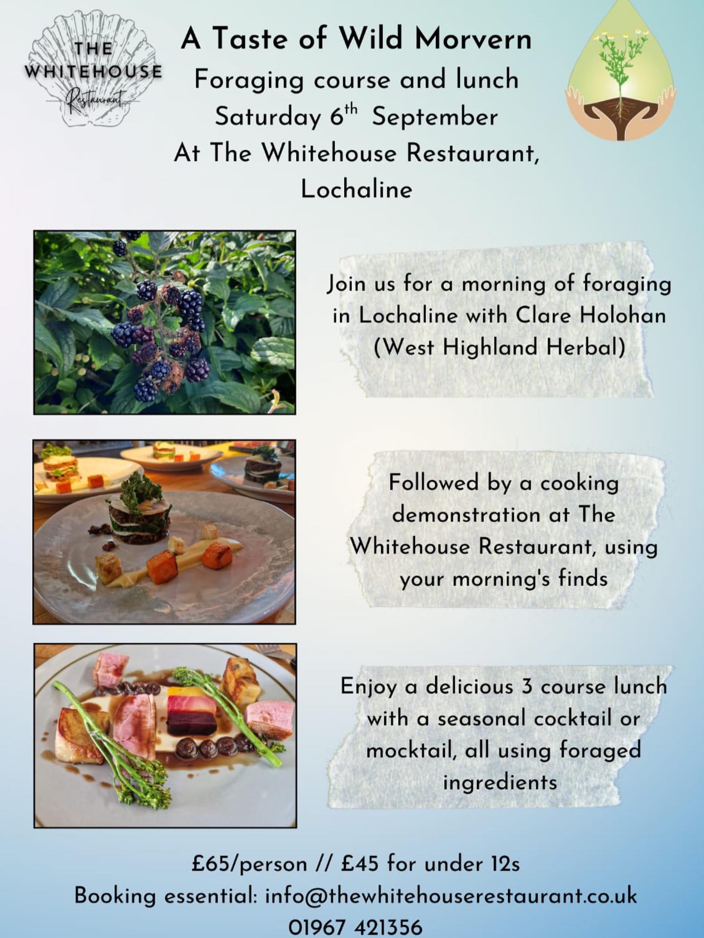Come, join us! 😋
For our forage and feast in collaboration with @thewhitehouserestaurant. Don’t miss this chance to feast on the autumnal delights of wild #morvern and learn all about what you can pick and eat from the local surroundings. Not to mention a sneaky delve into the culinary brain of chef Chris as he guides us through a cookery demonstration while sipping on a wild cocktail or mocktail made by Agi.
Looking forward to seeing you there!
.
.
.
.
.
.
#wildfood #forage #foraged #forager #foraging #wildfeast #scotlandswildmedicine #lochaline #scottishhighlands