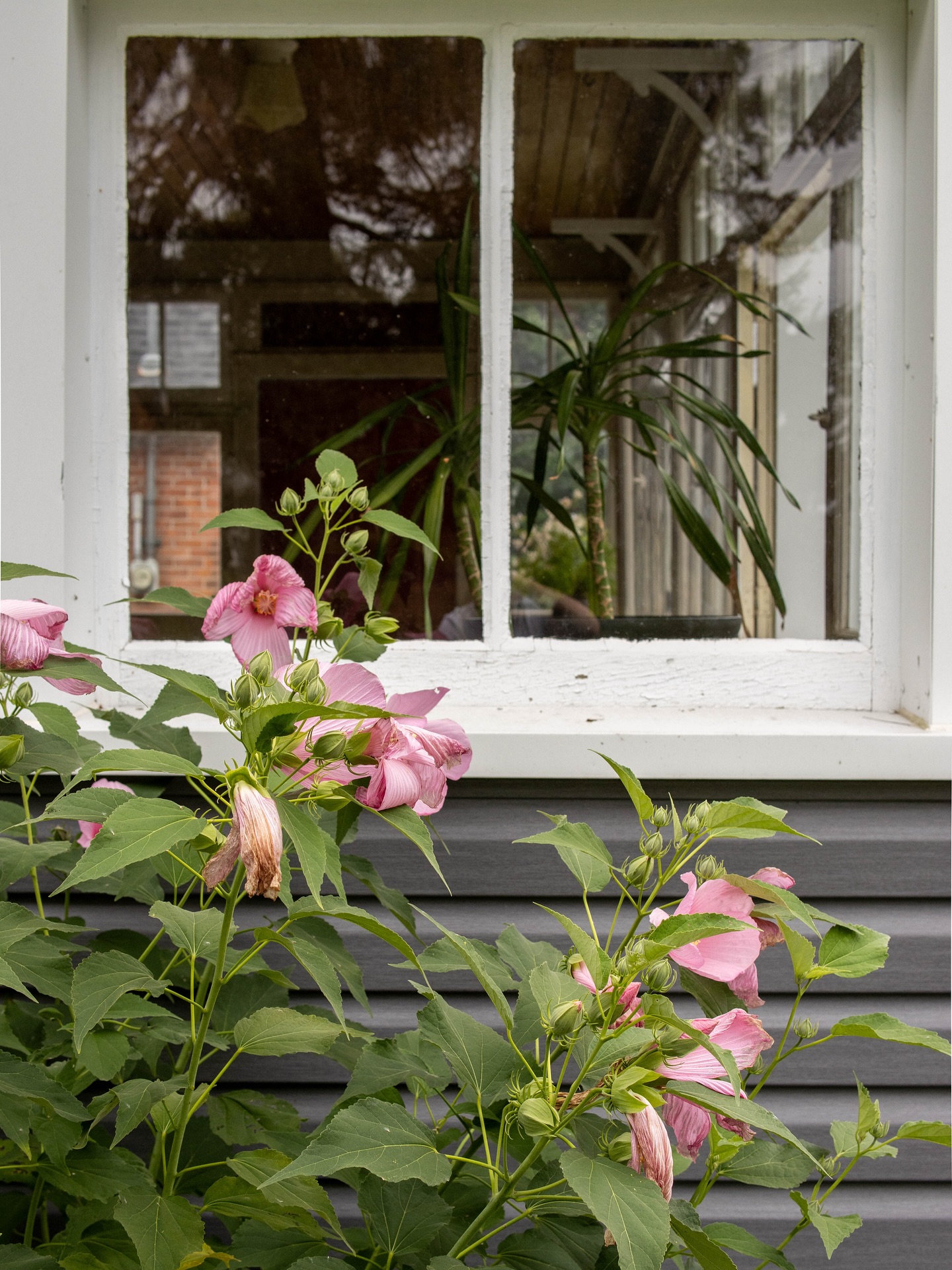 Took a side quest on this project to focus on the intimate details beyond the main moments. This home was such a pleasure to photograph, full of charm and character in every corner.
p.s I love a good front porch moment
Project: @ruthannbrown.realestate
Muskoka | Photography | Content Creation
#photography #contentcreation #muskoka #realestatephotography #realestatelisting #visualstory #ontariophotographer #canada