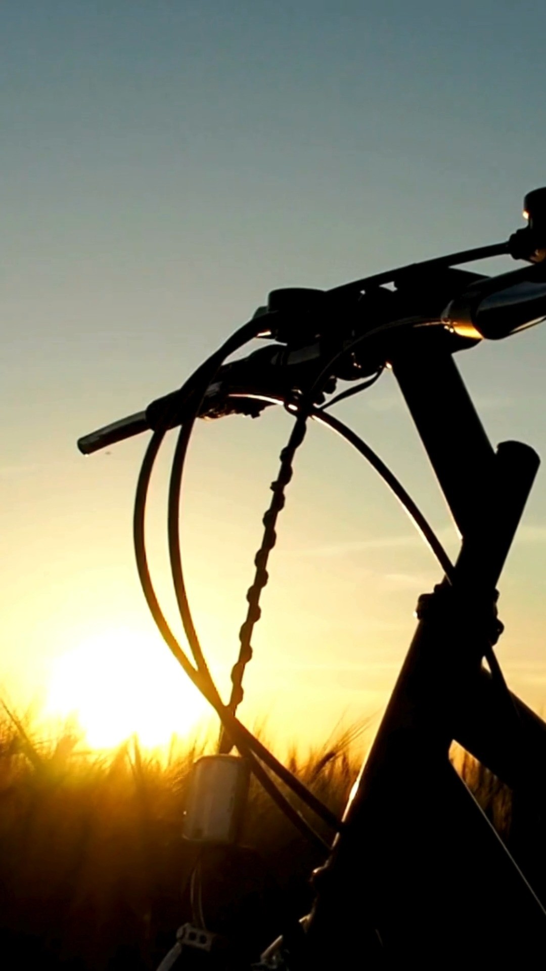 Catch the last of it.