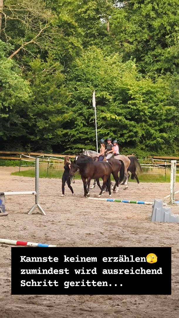 Warmreiten = Plauderstunde ☕🐴
Hauptsache genug Schritt, oder? 😅
Wer kennt’s auch? 🙋♀️
#springreiten #reitturnier #reitsport #reitpferd #springpferd #horsesofinstagram #equestrianlife #pferdeliebe #jungpferdeausbildung #nachwuchspferd #futurestars #younghorses #pferdezucht #verkaufspferd #verkaufspferde #saleshorse #horsesforsale #showjumpersales #dreamteam #maresilange