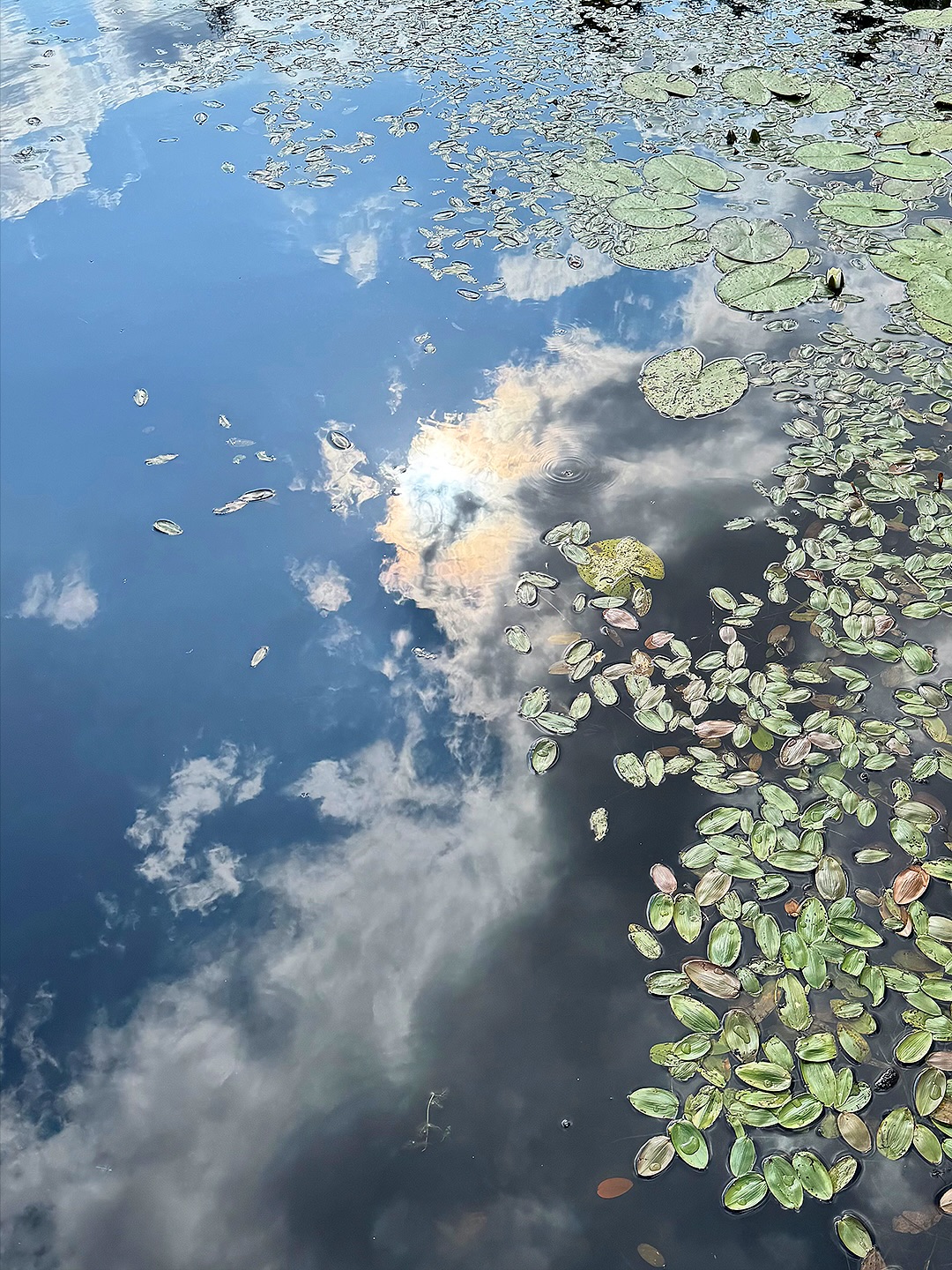 Dzieńdoberek! 🌞🌲🌊
Mamy już wrzesień co prawda ale wrzucę Wam tu jeszcze kilka wakacyjnych migawek z sierpniowego wypadu na sielskie Kaszuby 🤗
Po pięciu latach od poprzednich odwiedzin w @ap_akademiaprzygoda , skojarzenie z teledyskiem Lato 1996 zespołu Mikromusic nadal nieodparte 💚✨
Zero łączności ze światem zewnętrznym niemalże i atmosfera sprzyjająca odpoczynkowi ciała i duszy. Wieczorne biesiady w zintegrowanym, zacnym towarzystwie i wycieczki przez duże W 🚲🚲🚲
Tym razem na rowerach elektrycznych mieliśmy znacznie większy zasięg, co pozwoliło na codzienne wycieczki do prawie 100 km i zobaczenie wielu pięknych zakątków 😍
Będzie jeszcze trochę zdjęć z pięknych Kaszub 💚🐎🚲🌲🛶☀️
:::
I JESZCZE MAŁA WIELKA ZAPOWIEDŹ 🔥
Dzieciaki wracają do szkoły, a mamy wracają na promocję do Bartka! 💎💎💎
Spodziewajcie się niespodziewanego, a może troszkę spodziewanego, lada chwila! 🤗
.
.
.
.
.
#ilovemyjob #myprecious #bartoszcibajewelry #intothewild #bartoszciba #kaszuby #kaszubysapiekne #kashubia #wakacjenakaszubach #lato1996 #akademiaprzygody #szumimłyn #mikromusic #jewelrydesigner #pięknekaszuby
#trochępracytrochęwakacji #ładowanietwórczejbaterii #latonakaszubach #roweremprzezświat #błogostan #ahojprzygodo #sielskoanielsko #kaszubskielato #kaszubskiewakacje #jeziorakaszubskie #wakacjenawsi #kaszubskaprzygoda #sielskieklimaty #ukrytekaszuby #wyprawyrowerowe