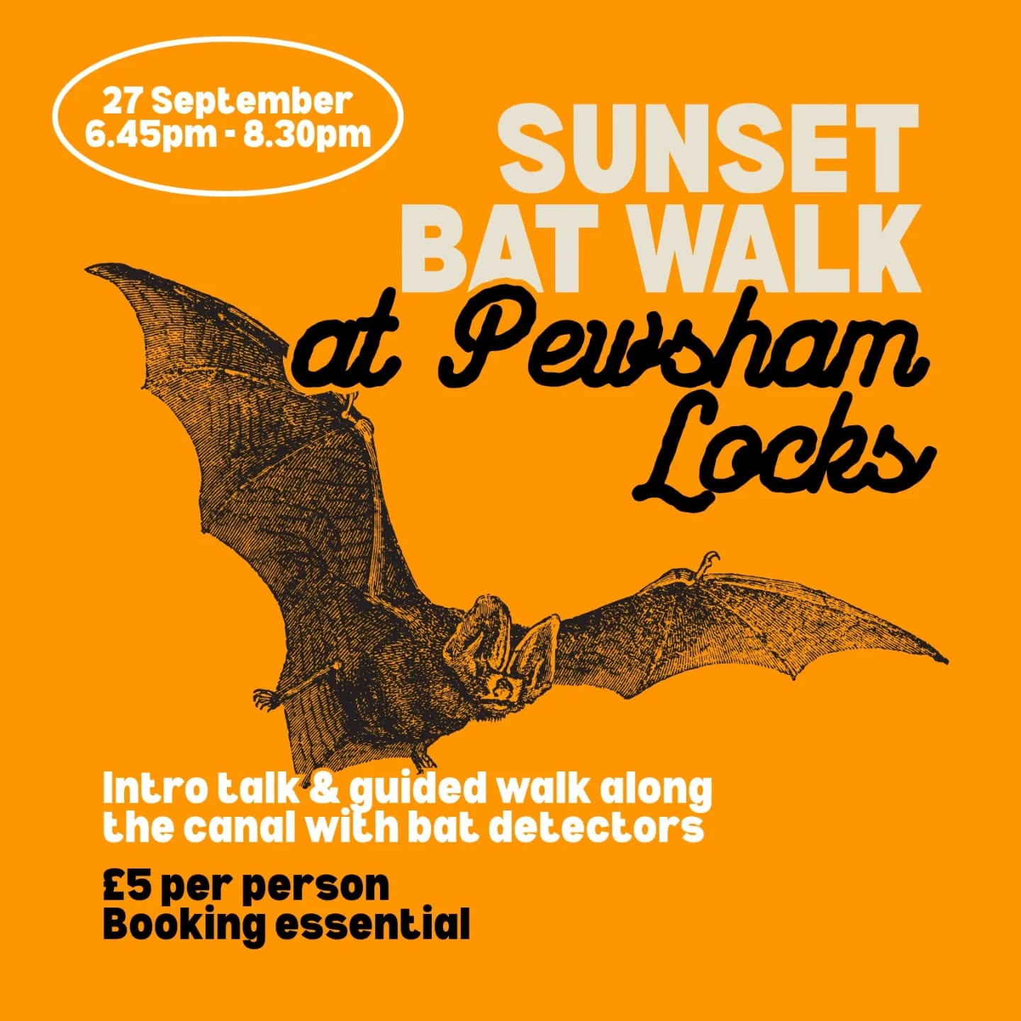 Did you know the Daubenton’s bat has large hairy feet which it uses to catch insects from the surface of water, which is why it's also called the water bat?
Join us on the 27th September for a guided sunset walk along the beautiful Pewsham Locks with bat detectors and see what bat species we can discover, including the big-footed water bat!
Booking is essential and places are limited.
https://www.tickettailor.com/events/rootedchippenham/1840849
#bats #batwalk #lovebats #wiltshirewildlife