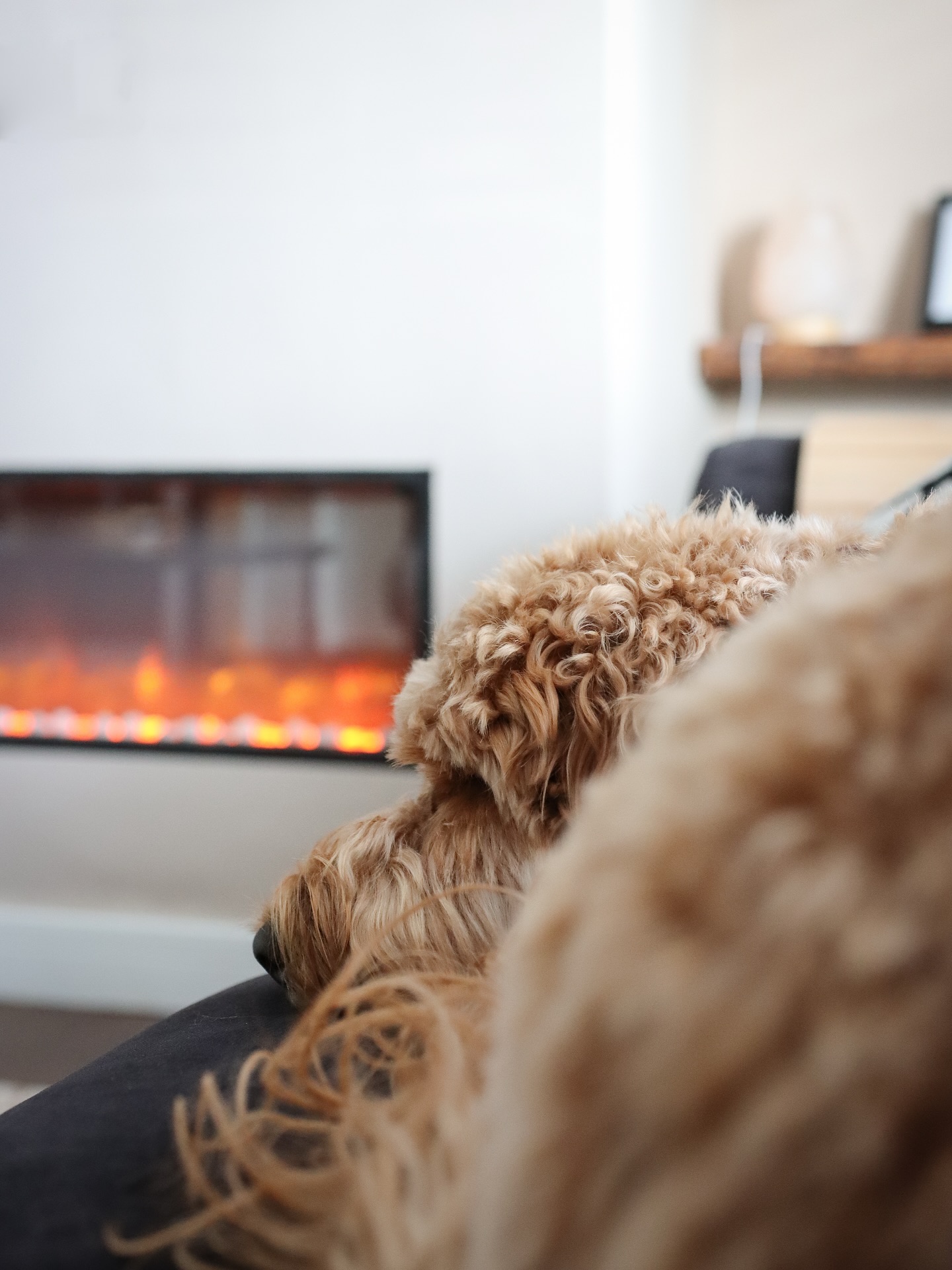 September 1st: Ma’s Birthday and the start of Autumn 🍄🟫🌰🐿️
Hands down the best month of the year! 🥾🤎🎂🍂
#birthdaycelebrations #itsofficallyautumn