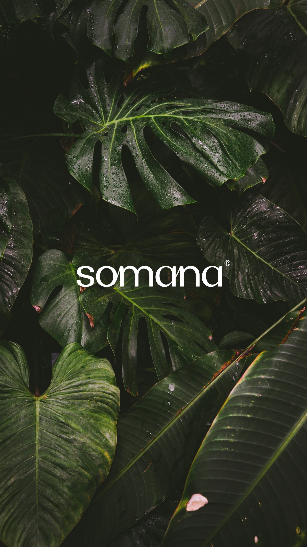Say Hi to @somana_health Part 02 :)
#branddesign #contentcreation #branding #munichagency #teaser #fitnessclub