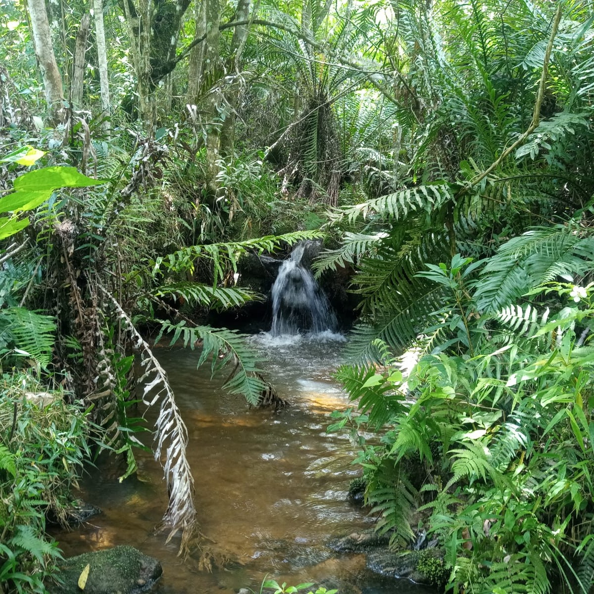 ÁREA COM 26HA PRÓXIMA AO CENTRO DE DELFIM MOREIRA COM VISTA MARAVILHOSA.
Excelente área de 26ha, 11 alqueires, a 1 KM do cento de Delfim Moreira MG
Com vista panorâmica da cidade, de fácil acesso, estando localizada em um local tranquilo;
Possui água em abundância e duas minas;
Com vários platôs prontos para construção;
Já possui duas edificações.
R$1.250.000,00
Não perca essa oportunidade!