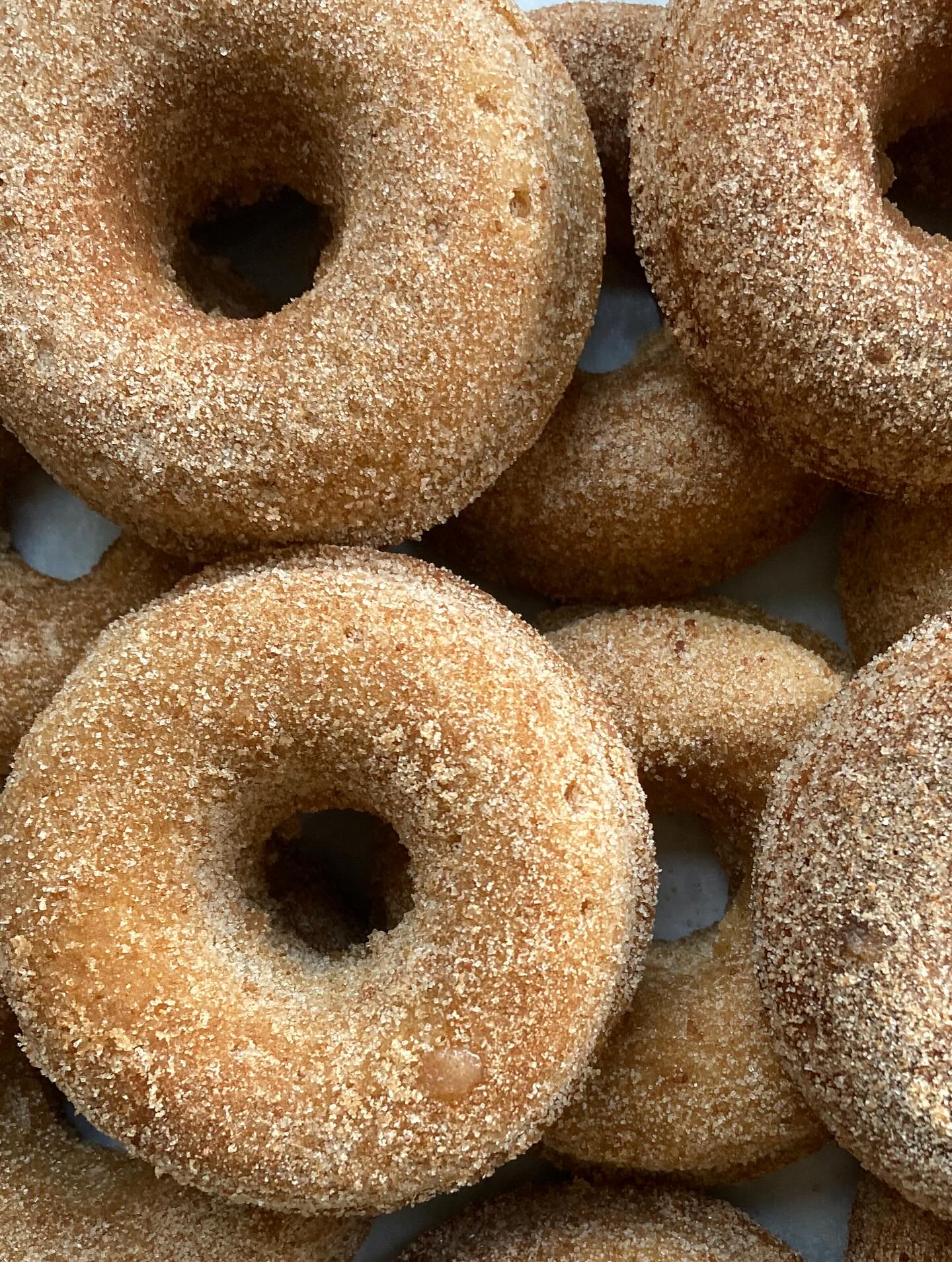 September weekends are best spent with fresh cider donuts + flowers in hand!
Stop by the farm stand 9–4 Saturday & Sunday for produce, baked goods, and more. Or find our bouquets at the Hope Street Farmers Market from 9–1 💐