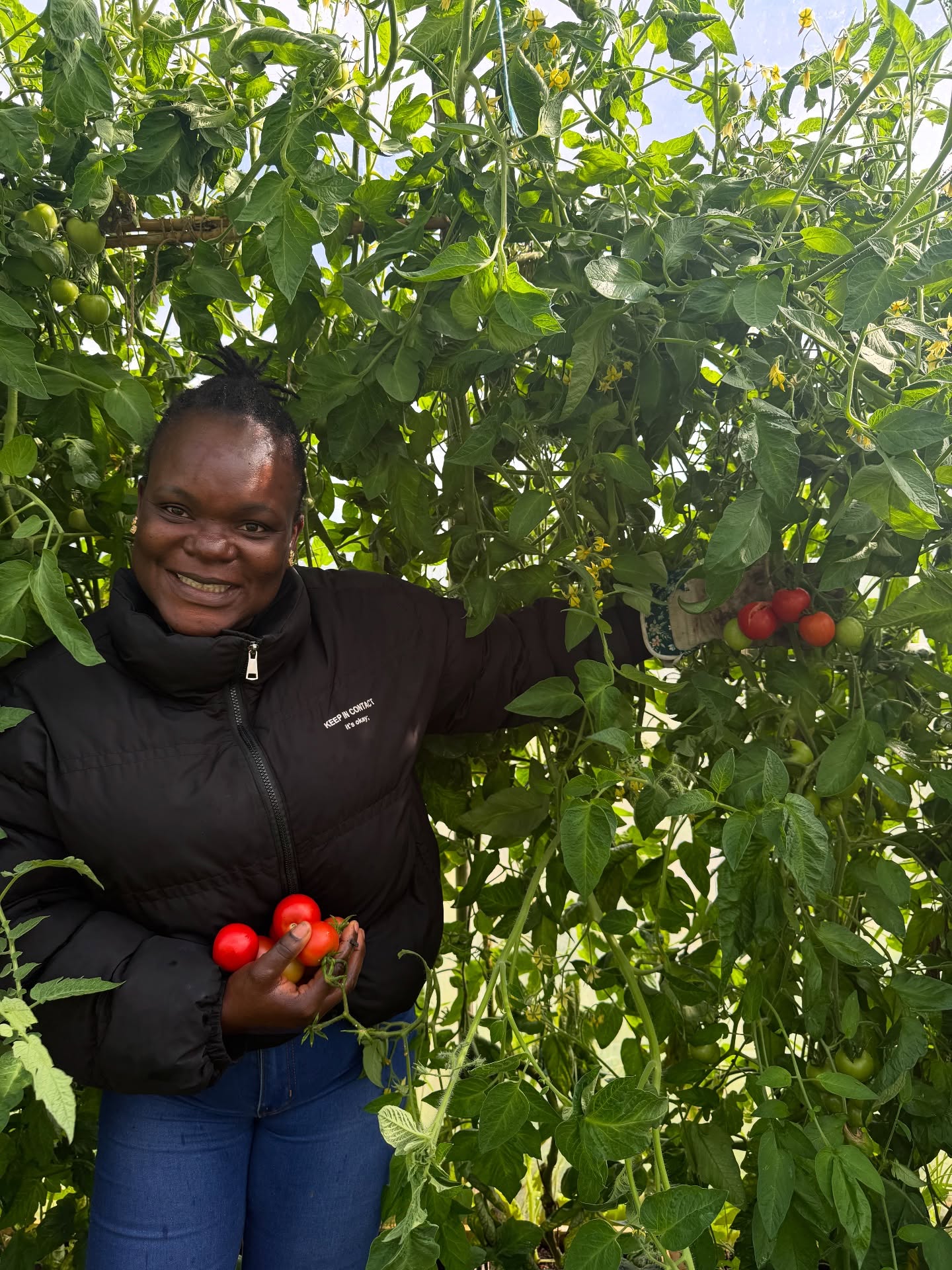 👩🌾🍅 Women, Tomatoes & Care 🌱✨
Today on the Polytanian, we harvested bright red tomatoes and tended to the vines, gently supporting them so they can keep growing strong. 🌿 This simple act reminded us of something much deeper: around the world, women have always been at the heart of growing and caring for food.
From small gardens to vast farmlands, women’s hands nurture seeds, water the soil, and bring harvests to life. The patience it takes to wait for a tomato to ripen is the same patience women show in raising families, sustaining communities, and protecting traditions. 🌍💚
Each harvest is more than just food on the table — it’s a story of resilience, love, and care. Every tomato is proof of time, attention, and gentle strength. 🌸✨
So today’s little harvest is also a celebration of women everywhere who plant, protect, and provide — often quietly, but always powerfully. 🍅🌱
#HerHarvest #WomenInAgriculture #TomatoLove #GardenCare