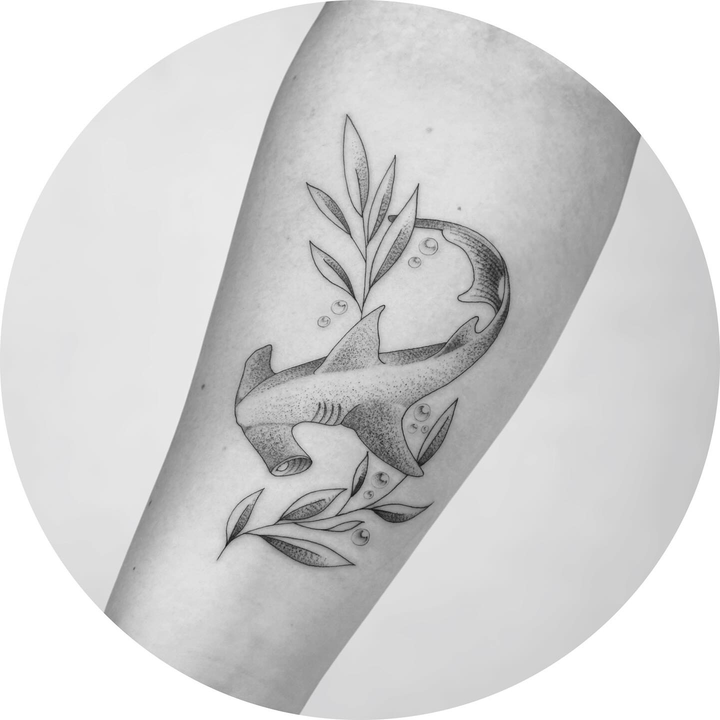 ✨ Walk-in tattoo magic ✨
Had a great time bringing this client’s design to life 🦈🌿
Always open to spontaneous ideas, so if you’re feeling inspired send me a request!
Books are open at @oldelinetattoo ! Contact the shop directly, email me at 📩 abctattooinfo@gmail.com or through the link in my bio.
#SharkTattoo #DotworkTattoo #LineworkTattoo #ABCTattoo #WalkingTattoo #TattooArtis#hagerstownmd #dmv