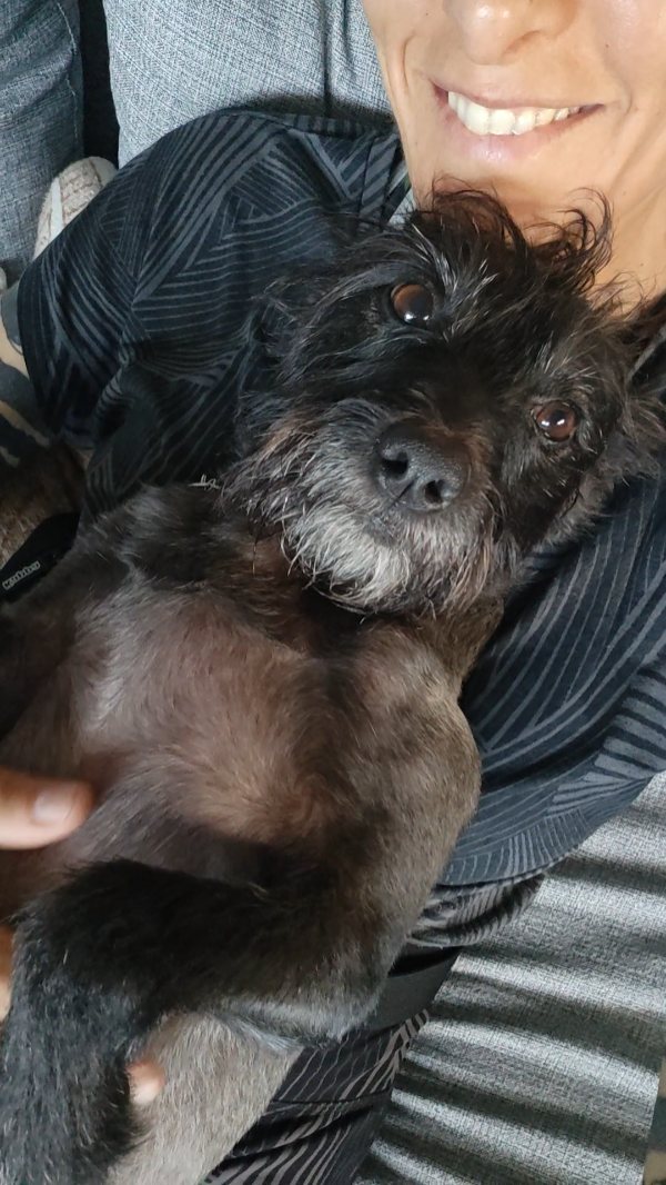 It's not just about loving animals 🐾 — pet sitting is about making life easier for pet parents, too.
Being honest, reliable, and discreet matters.
Doing a great job means being consistent:
✅ showing up when you say you will
✅ keeping communication open
Because peace of mind for pet parents is just as important as love for their pets.
#wearepro #petsitting #cats #dogwalks