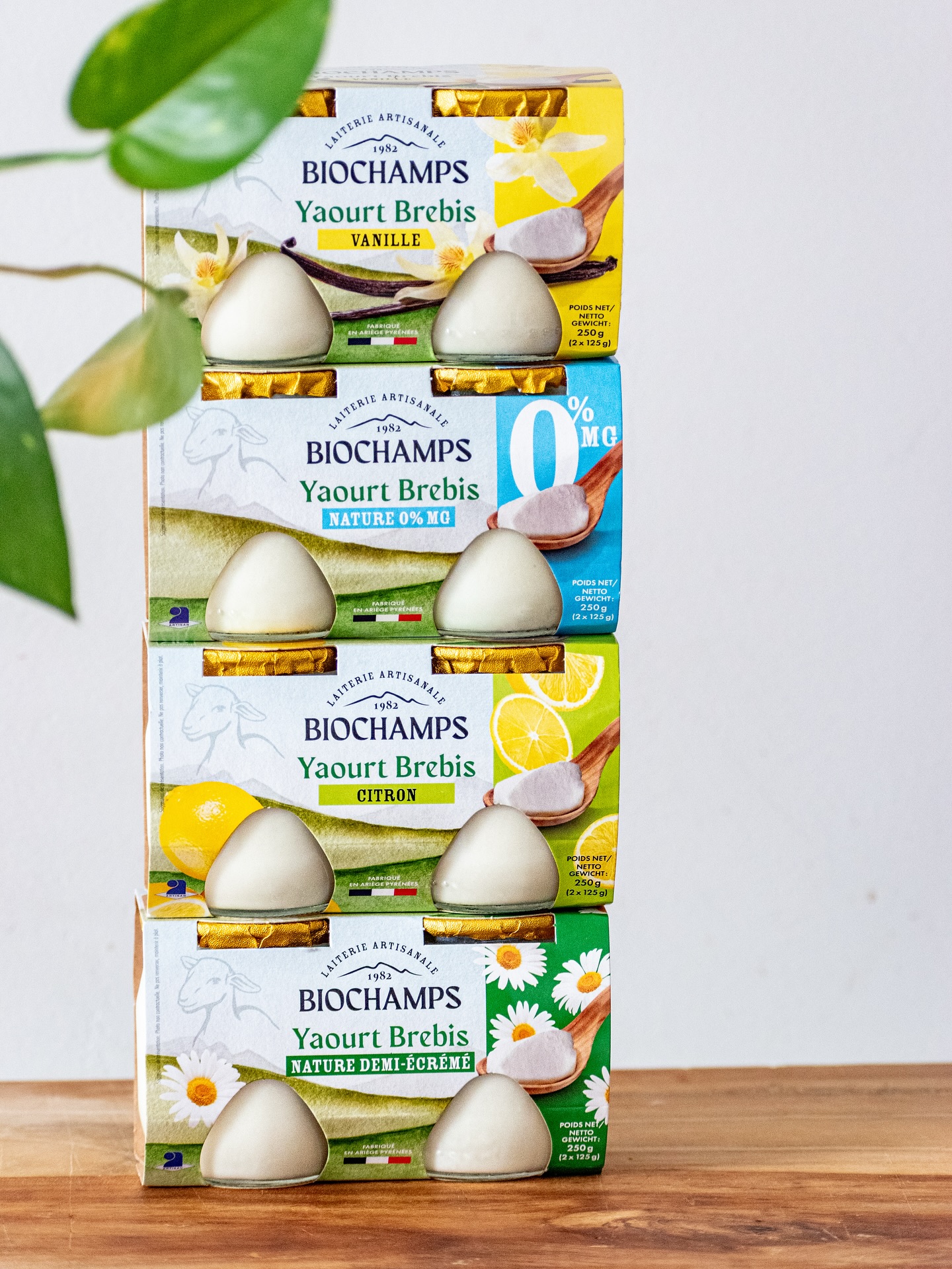 ✨ Nouveau look pour nos étuvés ✨
Cet été, nos petits eyuvés se sont refaits une beauté 😍
👉 La recette ne change pas, seul le pack s’est offert un petit coup de frais 🌿
Alors, vous aimez ce nouveau look ? 💛
📌 Dites-nous en commentaire ce que vous en pensez ⬇️
#biochampslaiterie #biochamps #laiterie #ariegepyrenees #yaourtsdebrebis #lairfrançais #laitbio #laiterieartisanale #madeinfrance #agriculturebiologique