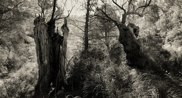 In celebration of my adoration for the black and white, inspired by the current stormy weather in the uk… still dreaming of getting the boat painted!!! 🙄 ☔️