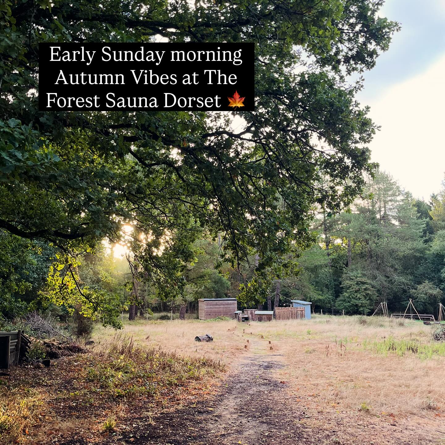 So beautiful with Autumn in the air @theforestsauna at @happyriverretreat this morning ☀️🍁🔥🌳
Come & experience an hour of bliss in nature together, with just the sounds of the birds and the whisper of the leaves (& recently the hammer of the rain!) to mark the soft change of seasons coming 🍁🍂
Log fired sauna (for up to 8), cold plunge and jungle shower immersed in an idyllic forest setting in Wareham, Dorset🌳
You can also host your special occasion here ✨
Link in bio & stories to book or for special gatherings DM us ✨🌳
#forest #sauna #coldplunge #dorset #retreat #healthretreat #health #happy #autumn #nature #time #slow #connection #bodymind #soul