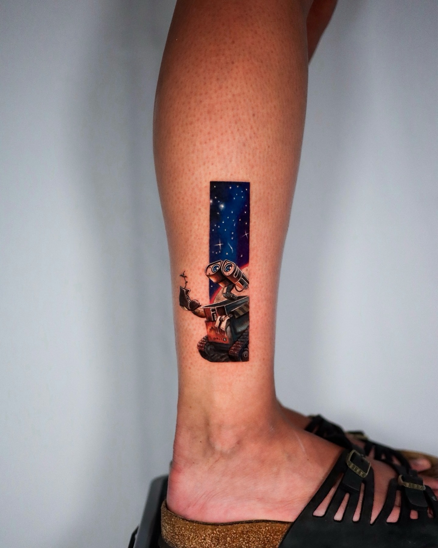 Full color micro realism Walle tattoo by guest artist @dohae_ink Oakland California Bay Area
#microrealism #fullcolortattoo #bayareatattoo #oaklandtattoo #sanfranciscotattoo #walletattoo