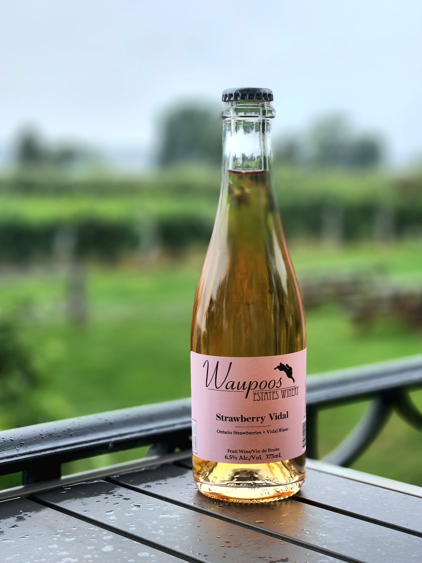 Hold onto summer just a little longer with our Strawberry Vidal. 🍓☀️
Only a few cases left – grab your bottle (or two) before it’s gone!