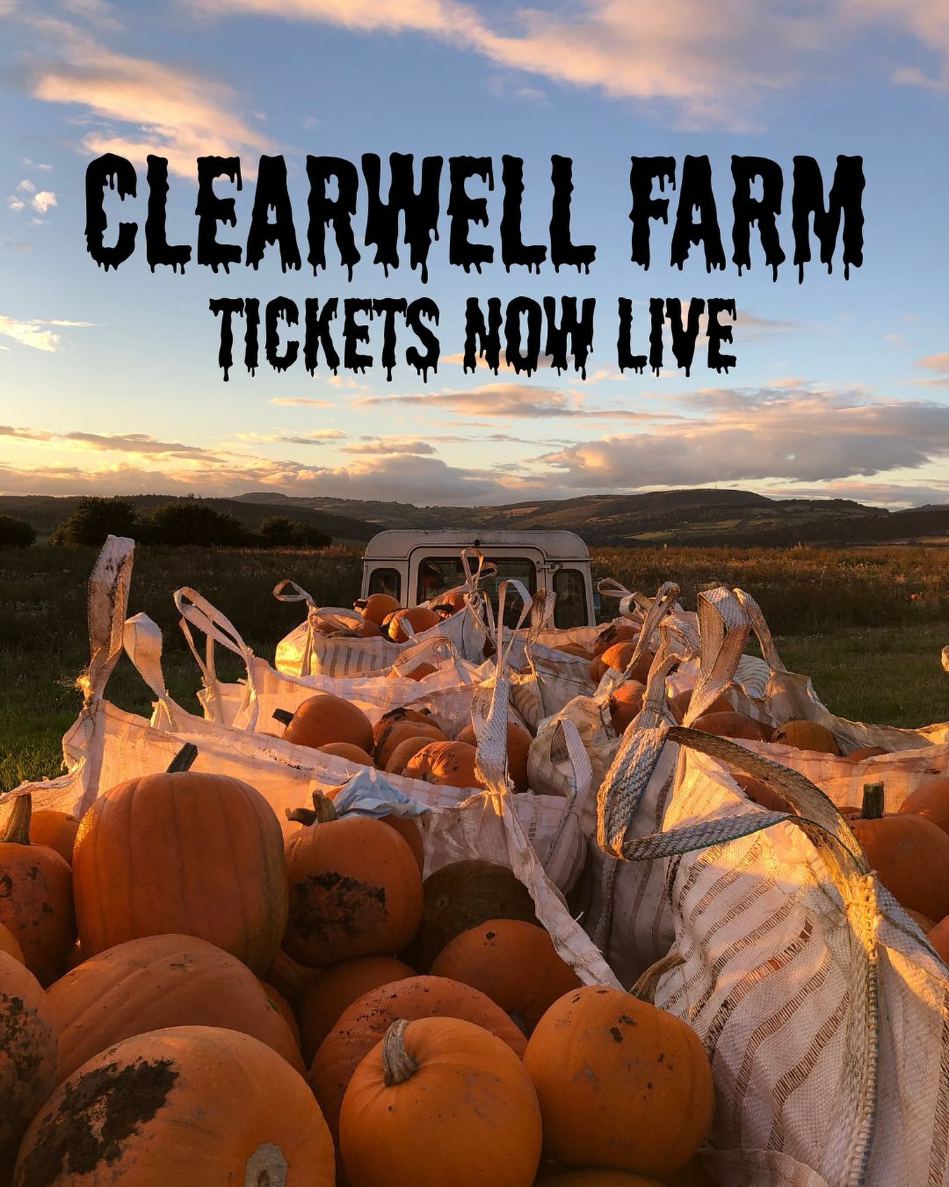 🎃✨ Tickets Now Live! ✨🎃
This October at Clearwell Farm we’ve got 3 unforgettable experiences:
🌞 Daytime Pumpkin Picking – 20+ varieties, our life-sized Pumpkin Village, arts & crafts, face painting + cosy food & drink from the café & bar.
🌙 Twilight Pumpkin Picking – Pick under the stars, explore the glowing Pumpkin Village, and enjoy autumn snacks & drinks.
🌑 Harvest of Horror (16+) – Brave our 3 terrifying scare zones with live actors & immersive sets… then recover in the bar & café with themed drinks, hot food & music. 👻
🎶 Live Music Nights – Friday 17th & Friday 24th October
📅 Dates & Times
Sat 11th & Sun 12th Oct – Day 10am–4pm | Night 6pm–10pm
Fri 17th Oct – Night Only 6pm–10pm
Sat 18th & Sun 19th Oct – Day 10am–4pm | Night 6pm–10pm
Tue 21st – Thu 23rd Oct – Night Only 6pm–10pm
Fri 24th Oct – Sun 2nd Nov – Day 10am–4pm | Night 6pm–10pm
Tue 28th – Fri 31st Oct – 🌑 Harvest of Horror (Evenings): 6pm–11pm
👉 Tickets are limited – book now to avoid missing out!