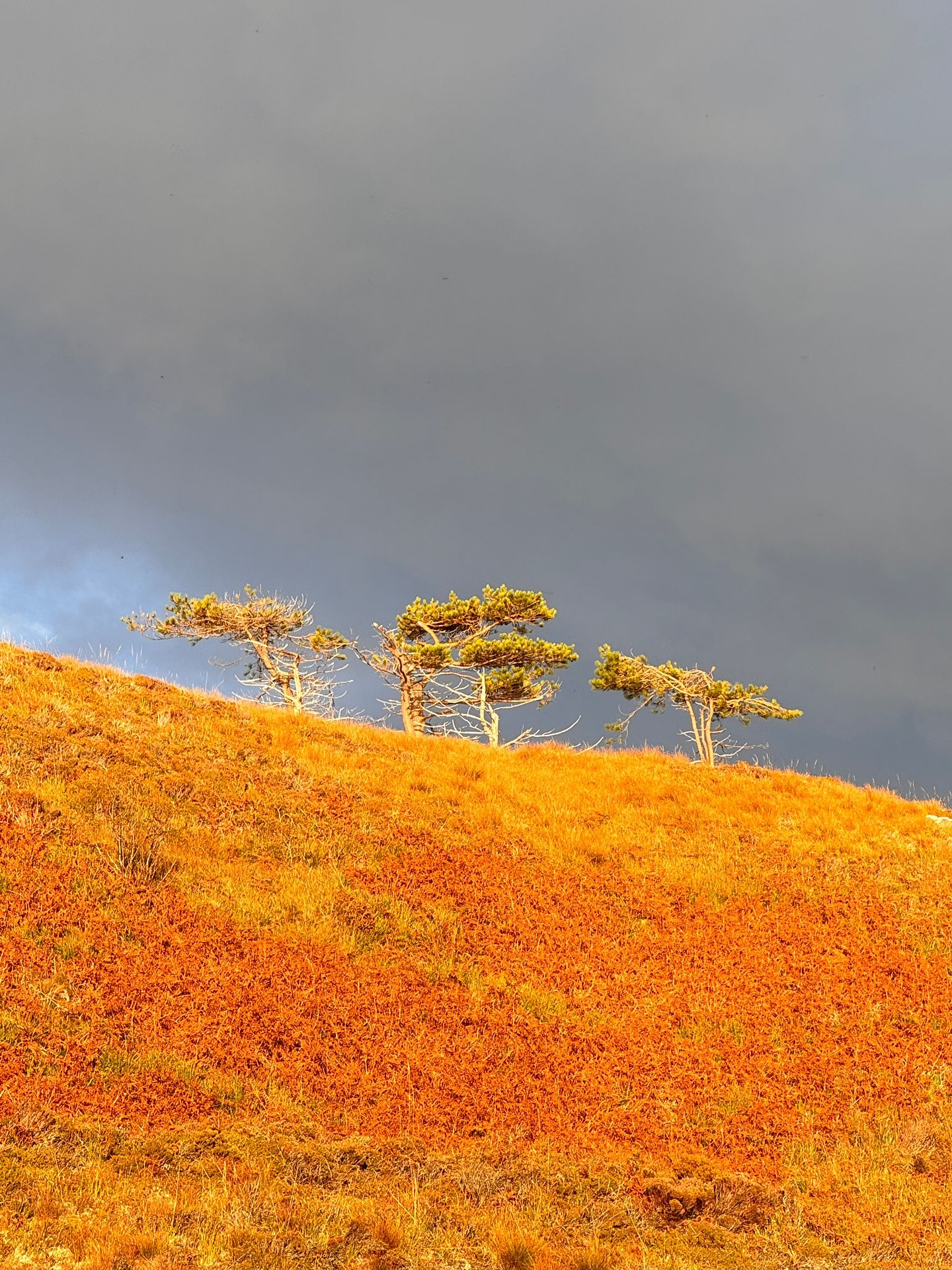 “Somewhere between the shadows and the sun…”
These photos were taken by my mum while we were on FaceTime during her holiday in Gairloch - a place that holds so many family memories. The golden light against the dark grey sky felt so symbolic - a contrast that spoke to me of this ‘in-between’ season.
These skies usually coincide with a rainbow and only last moments. It’s a bit of a reminder that this ‘in-between’ season isn’t forever but I should enjoy it while it lasts. (There should be a Japanese word for that!)
It reminded me of a line I heard recently in a poem by @hannahblantonpoet : “I’m somewhere between the shadows and sun, in the part of my life where me becomes Mum.”
That’s exactly where I am right now. With the kids all at different stages, life feels like a delicate balance of shifting roles and moments. And somewhere in the middle of it all, I’m slowly finding my way back to the jewellery bench!
This month I’ll be sharing little glimpses of that journey back into creating and later in September, something special to mark the return ✨
(Credit: photography by my mum @loulou164art 💛)