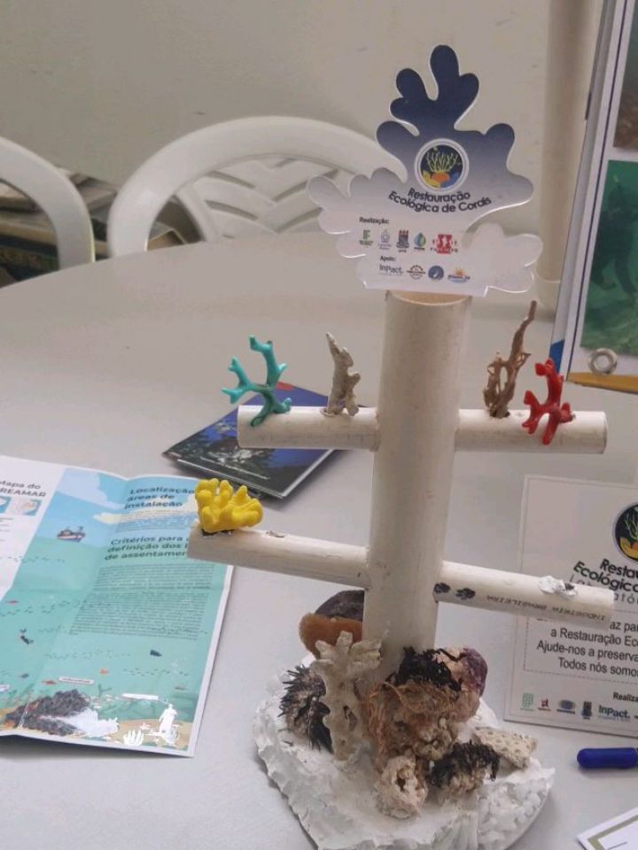 🌿 Dia do Biólogo na UEPB – Campus Campina Grande 🌊
Em celebração ao Dia do Biólogo (dia 3 de setembro) a I Semana do Biólogo foi um verdadeiro mergulho no conhecimento e na preservação ambiental! 🐢✨
A equipe do @preamar, em parceria com o @inpact.org.br e a @associacaoguajiru levaram exposições sobre Cultura Oceânica, recuperação de ecossistemas marinhos e a proteção das áreas de desova das tartarugas marinhas no litoral paraibano. 🌊
Agradecemos o convite do Prof. Dr. André Pessanha @andrepessanhauepb Coordenador do Laboratório de Ecologia de Peixes da UEPB.
Agradecemos a presença da Prof. Joseline Molozzi @joselinemolozzi Vice-coordenadora do Programa de Pesquisas Ecológicas de Longa Duração e Rio Paraíba Integrado (PELD/RIPA), da Prof. Thelma Dias, coordenadora do Laboratório de Biologia Marinha da UEPB, que faz parte da equipe do PREAMAR, do Prof. Sérgio Lopes @profsergiolopes do Programa de Pós-Graduação em Ecologia e Conservação (PPGEC) e o Prof. José Mourão @mourao8227 da Universidade Estadual da Paraíba (UEPB).
Agradecemos também ao apoio do @cabiorf
Que essa data inspire ainda mais ações em prol da vida e do planeta. Feliz Dia do Biólogo! 🧬🌎