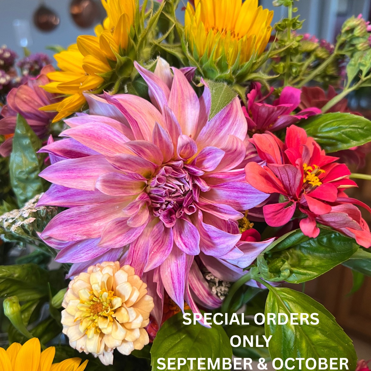 The Farm at Remmington’s Run will only be taking special orders through October.
Please call, email, or send us a DM with your requests.
We look forward to creating something beautiful for you as the Farm moves into Fall. 🍂
#TheFarmAtRemmingtonsRun #SpecialOrders #FallFlowers #SeasonalBlooms #FlowerFarm #Florals #FarmFreshFlowers #KentuckyFlowers #FlowersForAllOccasions #SupportLocalFarmers