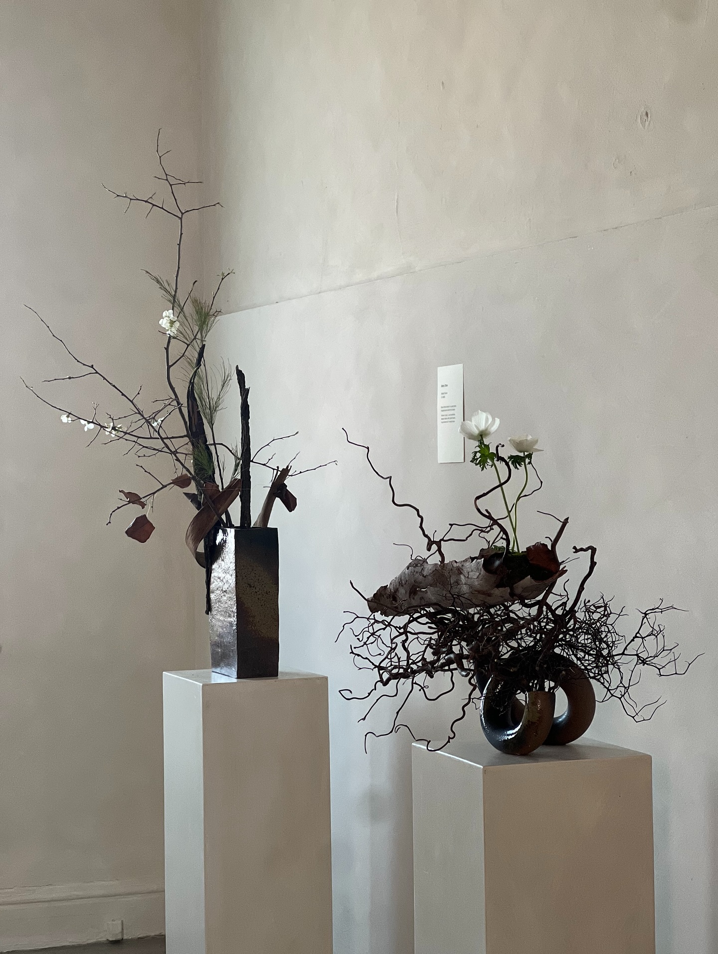 Ikebana exhibition 2025
Hidden in winter 冬にひそむもの
Winter may seem still, bare, or even asleep,
but within that quiet lies the beginning of something new.
Beneath the surface, life is gently preparing.A seed waits.
A bud forms. This is a time before awakening a silent moment where potential rests, unseen but full of promise.
It is such a joy and an honor to share this experience with six ikebana artists and our dear guests.
We observe emotions and follow the movements of the heart slowly and carefully,
letting them sink in—
like the comforting warmth of cocoa on a cold day.
Wrapped in the joy of sharing this moment with you all,
thank you, as part of experience.
Ikebana artist
Leanne Hoang
Katty Teo
Betty Chan
Nathan Wright
Meltem Ustunkaya
Azumi Ishikawa
@kurashi_crafts
@terunobu_hirata