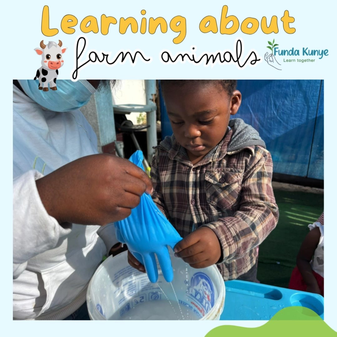🌟 Exciting Learning about The Farm!🌟
We explored our farm animal theme and while back and absolutely loved the 'milking the cow' idea from Masikhule. Here, you can see one of our educators putting into practice what she has learned. It's wonderful to see such creative and hands-on learning experiences being brought to life!
Thank you, @masikhulechild, for the fantastic idea and for inspiring us to make learning fun and engaging for our little ones. 🐄✨
Masikhule @masikhule.maskot