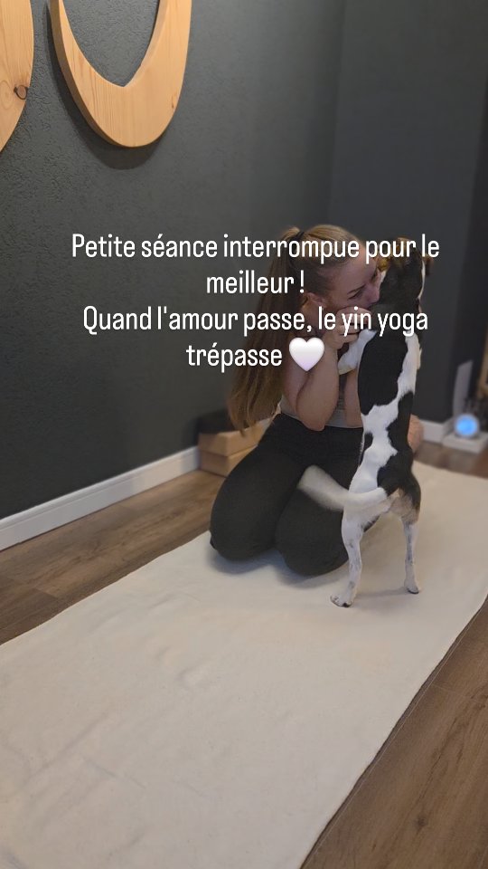 Quand l'amour passe le yin yoga trépasse 🐶🤍
#yoga #bepresent #animallovers #love #yinyoga