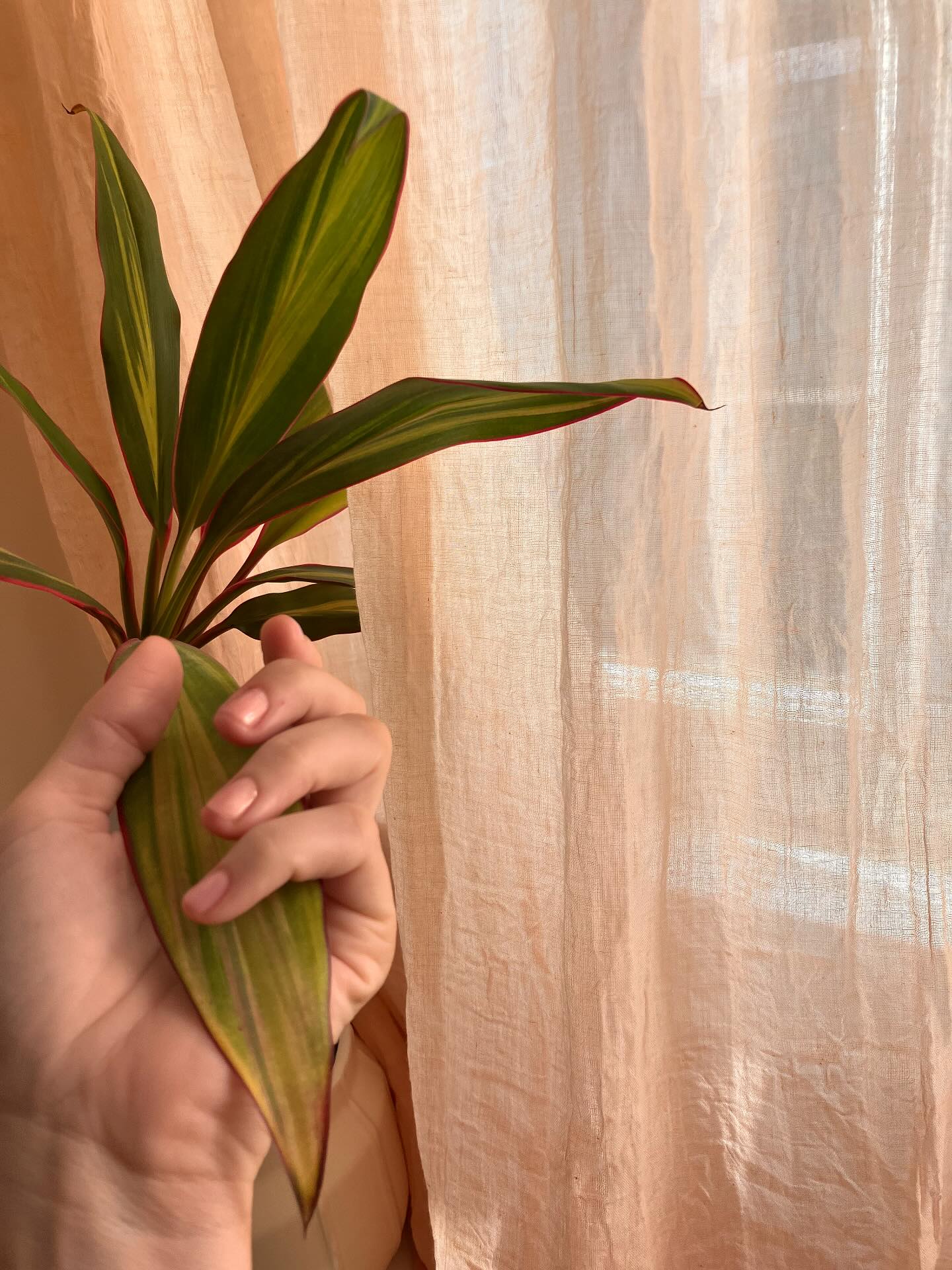 đ
New EU rules shake up the nail game! Starting September 2025, the European Union has banned TPOâa chemical found in many gel polishesâdue to health concerns linked to fertility and reproductive risks. Salons must reformulate or restock, but glossy nails arenât going anywhere. The future of manicures is safer and smarter Impact of the Regulation:
⢠Industry Reformulation: Nail polish brands must remove TPO from their formulas, leading to safer alternatives and innovation in cosmetic chemistry.
đŠââď¸ Health Benefits for Women
⢠Reduced Fertility Risk: Animal studies linked TPO to reproductive harm, including infertility and hormonal disruption. Removing it lowers potential exposure A B.
⢠Lower Cancer Concern: TPO is classified as âcarcinogenic, mutagenic, or toxic to reproduction.â Eliminating it reduces long-term risks, even if human data is still emerging A.
⢠Safer Pregnancies: Pregnant women or those trying to conceive are especially vulnerable to endocrine disruptors. TPO-free products offer peace of mind C.
⢠Skin Sensitivity Relief: TPO can cause allergic reactions or skin irritation. The ban helps protect frequent users and salon workers from chronic exposure C.
Why It Matters
This is a classic case of the EU applying the precautionary principleâacting before definitive human harm is proven, based on strong animal data. Itâs a proactive step toward cleaner beauty standards and a reminder that what goes on your body matters just as much as what goes in it. #womanhealth #nailsđ
#noharm #womanempowerment