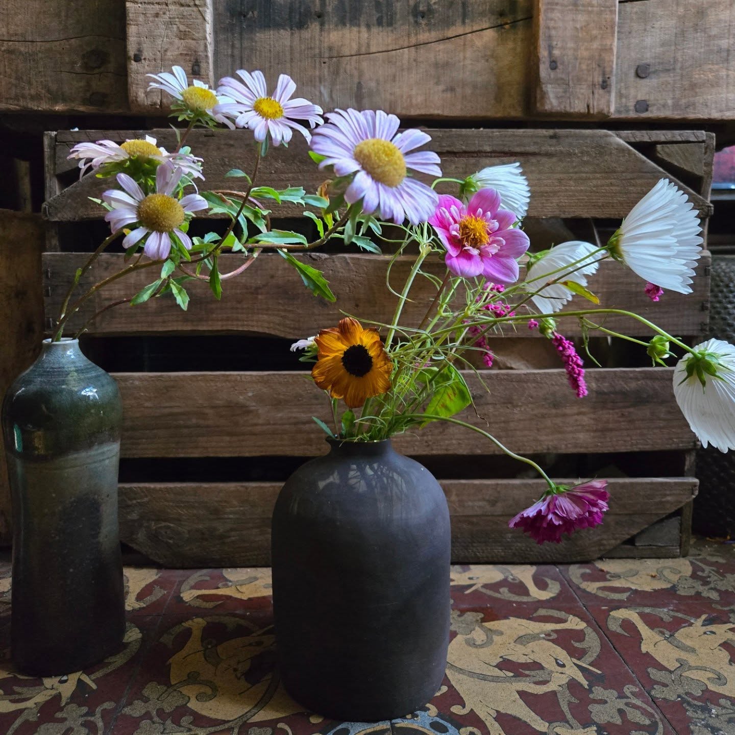 mardi 2 septembre , Bleuet Coquelicot rouvre ses portes avec les fleurs fraîches de l’Observatoire, des variétés locales, cueillies avec délicatesse, aux couleurs vibrantes et à la fraîcheur incomparable.
De nouvelles plantes vous attendent, pour célébrer la saison.
📍 Horaires :
du mardi au samedi, de 16h30 à 20h
Ou
Commandes en ligne :
www.bleuetcoquelicot.info
Hâte de vous retrouver.
