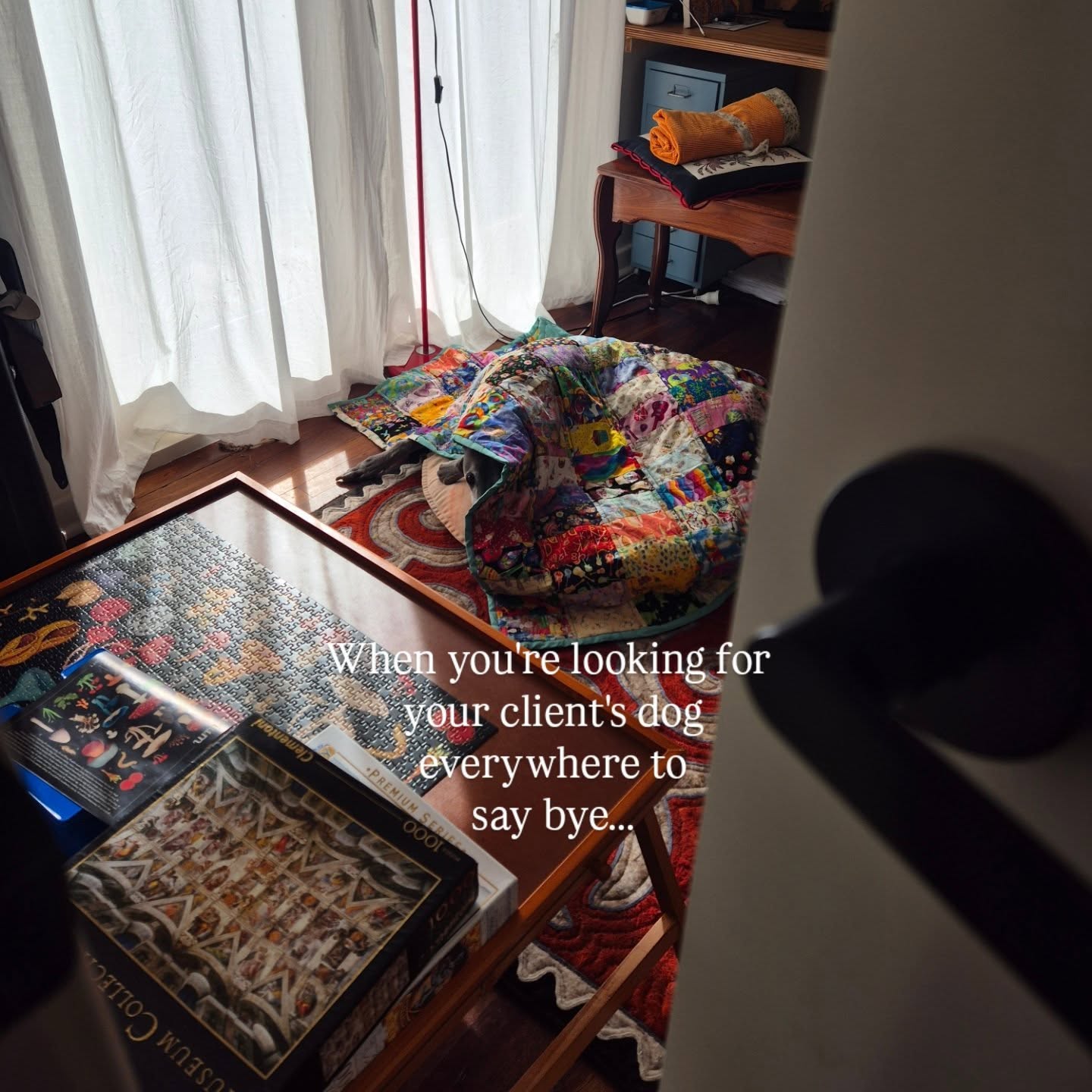 Perth winter got to us all 🥶❄️
We love our client's dogs, cat and everything in between. We always have to say goodbye. 🐾
#cardamomclean #petsagram #cleaning #perthisok