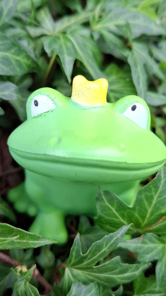 Glüxgartenmomente im Marmeladeglas
#kasperlhausreni #kasperl #kisscam #glück #happyday