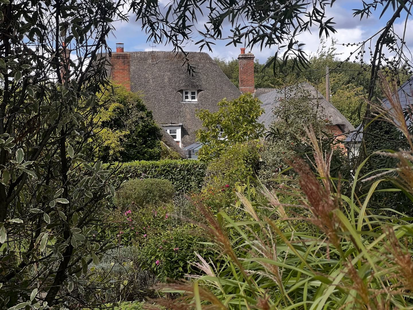 🌿✨ What a beautiful day spent in this stunning country garden! The sun was shining, the air was fresh, and we got to work our way through each bed, carefully cutting back the large, overgrown roses and bushes to bring them back into shape. 🌹🌳
There’s something so rewarding about giving a garden a fresh lease of life — opening up the space, letting the plants breathe again, and highlighting the true character of such a fantastic country garden.
We absolutely loved working here today, and the results speak for themselves — neat, healthy, and full of potential for the seasons ahead. 🌞💚
If your garden needs a tidy-up or you’d like to get it back into shape, feel free to get in touch for a quote — we’d be happy to help!
#CountryGarden #GardenTransformation #GardenCare #Roses #GardenersLife #BeforeAndAfter #GardenInspiration
