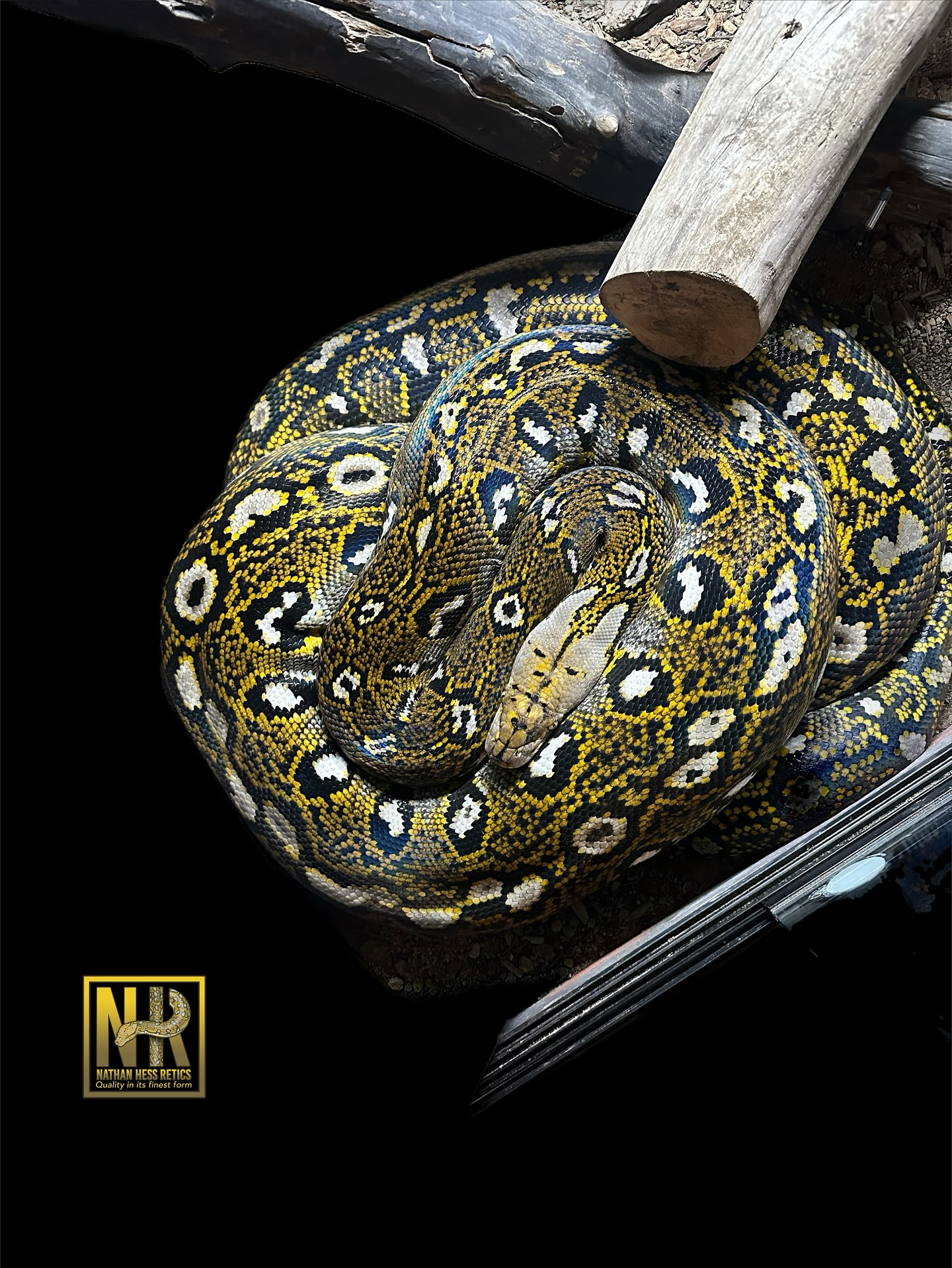 She looks better every time I see her. She doesn’t seem very hungry lately either!!!!