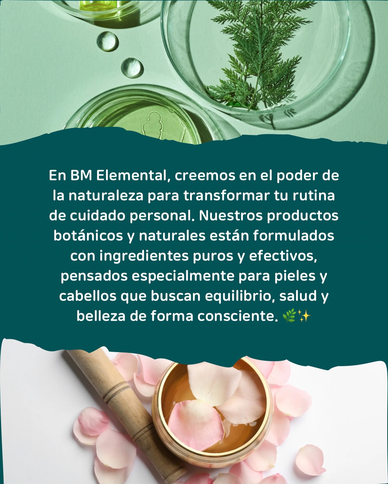 ✨ Equilibrio, salud y belleza en cada gota 🌸🌿
En BM Elemental transformamos tu rutina en un ritual de cuidado auténtico, puro y efectivo ✨🌱
📲 Escríbenos al WhatsApp 319 393 2069 o ingresa al link en nuestro perfil para recibir asesoría personalizada, realizar tu pedido o solicitar nuestro catálogo digital.
#BMElemental #CuidadoNatural #BellezaBotánica #RutinaConsciente #SkincareNatural #HaircareNatural #PielSana #CabelloSaludable #CosméticaNatural #BienestarHolístico