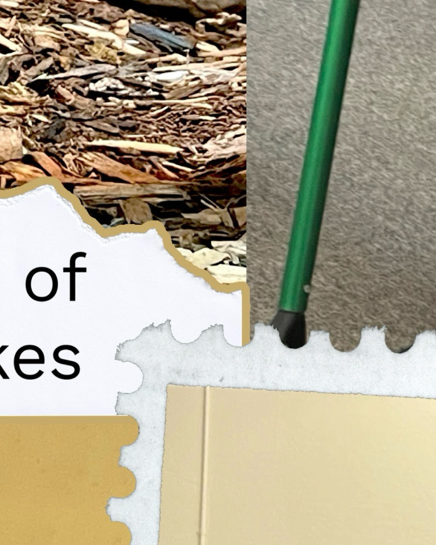 Not all snakes with patterns are rattlesnakes! Learning the difference saves lives—both human and snake.
#gatherofgatherings #rhumbaofrattlesnakes #snakefacts #wildlifesafety #collectivenouns #podcast #rattlesnakes #knowyoursnakes