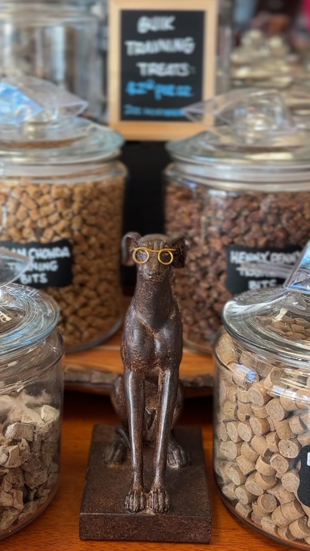 We stopped into Four Paws Annex, a local hub for dog health + wellness, for some fall doggy essentials!
We no longer shop the big box pet stores and traded the “ease” of online shopping for something better — carefully sourced, high-quality products you can actually trust. Four Paws isn’t about mass-market shelves; every item here is intentionally chosen with pets’ health and happiness in mind. Supporting them means supporting local and giving your pets the very best. 💛
to see how we prep our pups for “autumn on the trails”, head to our website to check out our September issue and see special offers from our contributors— or subscribe to receive future ones to your home!
#valleyandridge #chesternj #localnj #njbusiness #shoplocalnj #morriscountynj #morriscountybusiness #shopmorriscounty