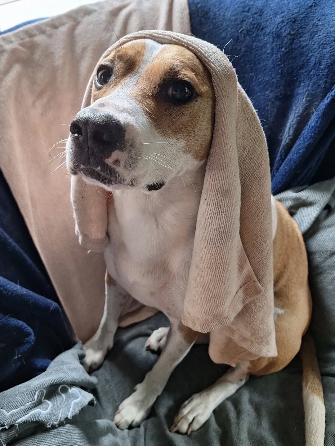 Rainy day Hazel 💕