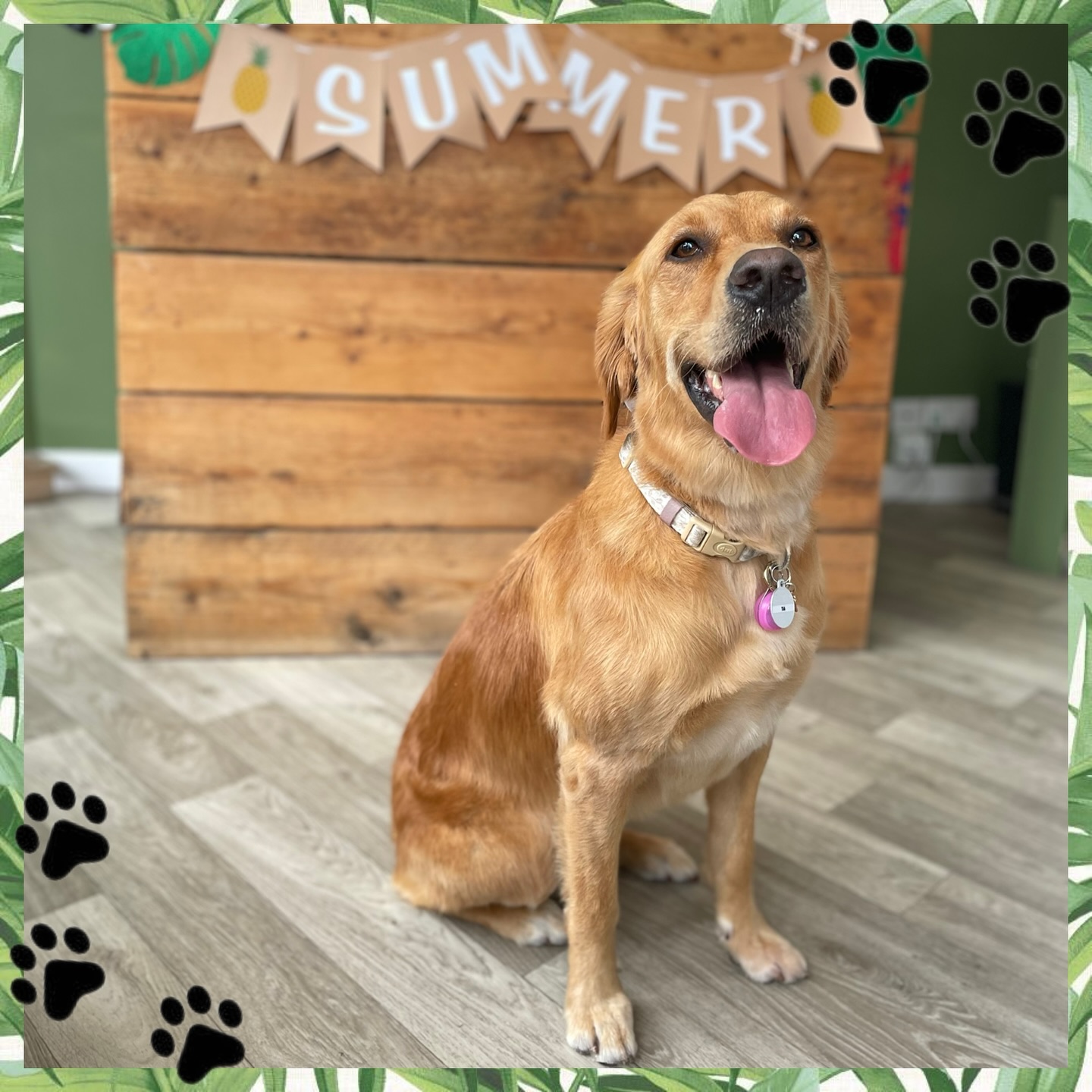 🎃🐾 That’s a wrap on our Summer Package! 🐾🎃
With the rainy days rolling in, we’re getting ready to launch our Halloween Package – complete with amazing new add-ons to make your pup’s groom extra special!
✨ We still have some of our summer stock available:
• Bows – just 80p
• Charms – only £1
🌈 Don’t forget – colouring is always available as an add-on, no package required!
📅 Book your pup’s next appointment today at Knine Dog Studio!
Visit our website or give us a call to secure your spot.
#KnineDogStudio
#DogGrooming
#DogGroomerLife
#PamperedPups
#FreshFromTheGroomer
#DogSpaDay
#HalloweenDogs
#SpookyPup
#HalloweenGroom
#TrickOrTreatPup
#DogStyle
#DogAccessories
#DogCharms
#DogBows
#DogColouring
#PuppyGlowUp
#PamperedDog
#DogSalon
#HappyPupHappyLife
#PuppySpa
#FreshGroomFriday
#SpookySeasonDogs
#HowlOween
#BooCrewPups
#PupMakeover
#FurryFashion
#SeasonalGroom
#RainyDayPups
#StylishDog
#dogsofinstagram