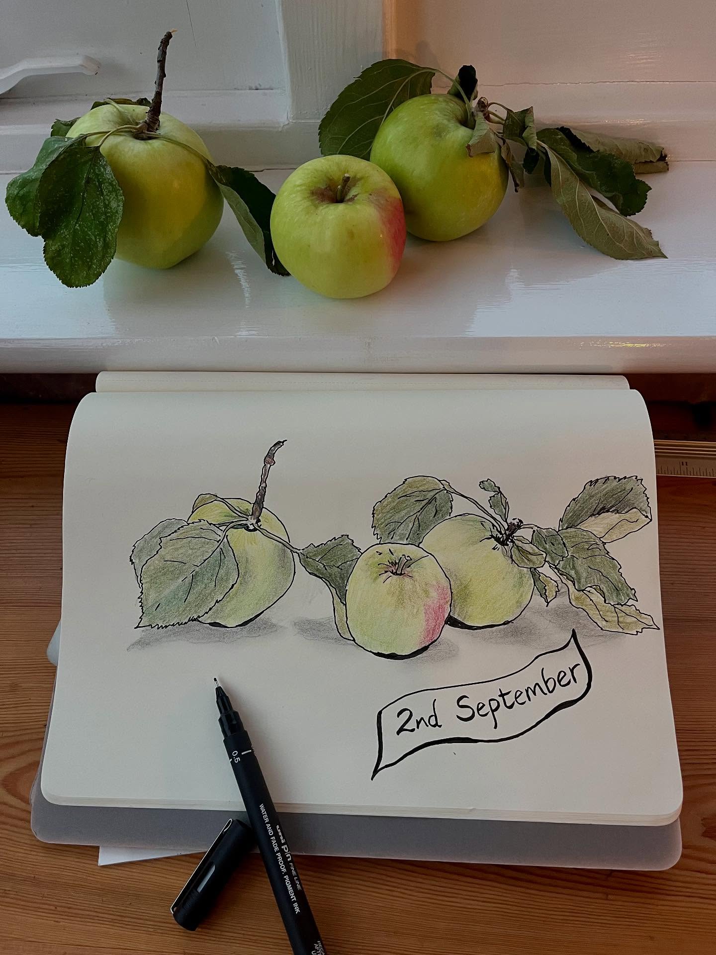 Apples galore! A fruitful season indeed