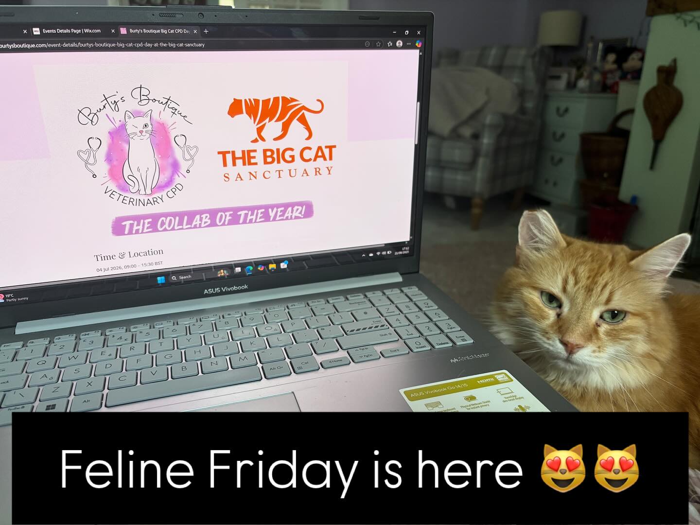 Feline Friday is here and so is our 2026 CPD Day launch- join us for our Big Cat CPD Day in July- tickets are incredibly limited and all info is on our website- as always you are very welcome to message me for more information too 😻😻 Please note the Big Cats CPD Day is for Veterjnary Professionals only- please see our website for terms and conditions 🐅🦁🐆