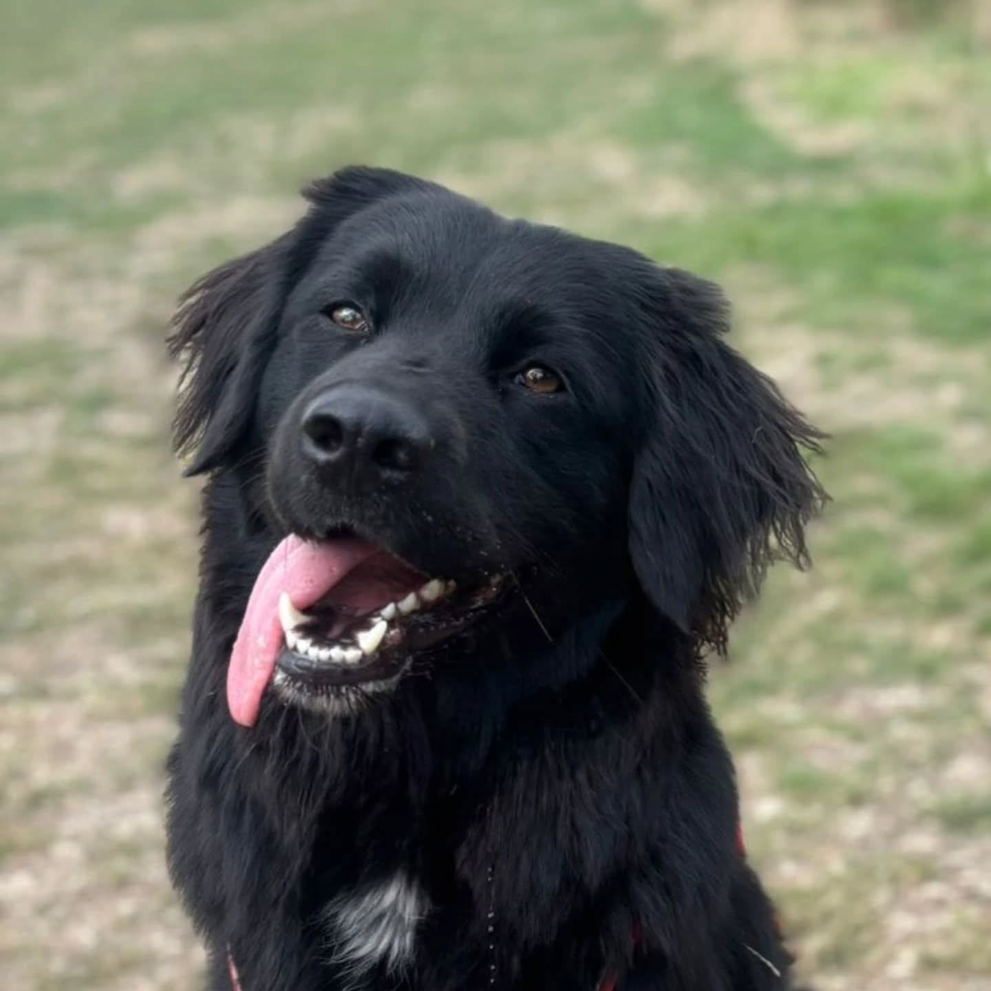 Esme Saga.
A spin off from season 2, the Regression!
We're ready. We've been here before. But DAMN it is frustrating. Teenage years are No Joke.