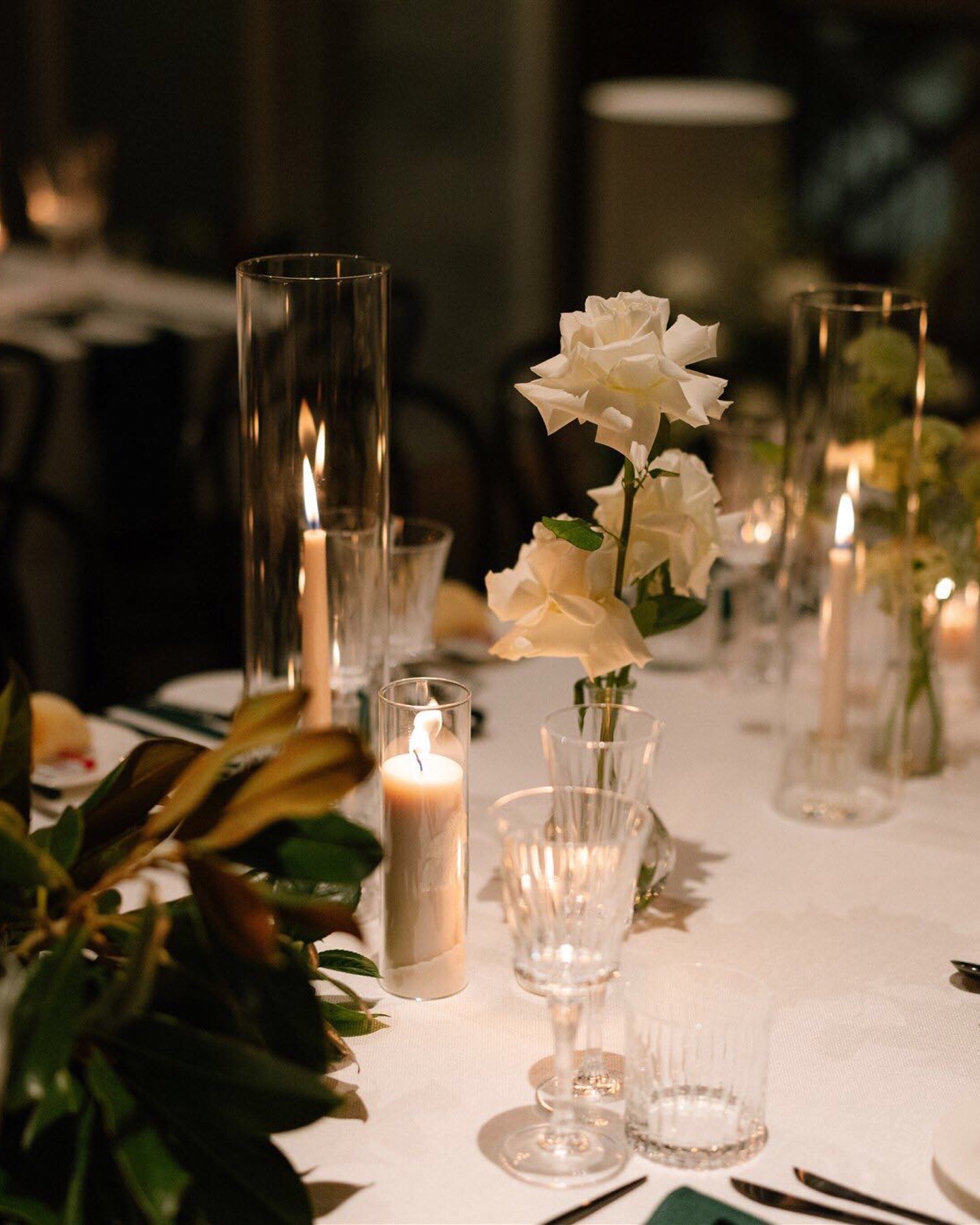 @arosetouch_, @urbanandwild_co and @moanahallweddings creating an absolutely magical space for Kayley and Callum’s gorgeous sit down reception 🤎
Lovely team:
@moanahallweddings
@arosetouch_
@urbanandwild_co
@love_bylarissa
@deepdjco
@emerrosemakeup
@theprettyparlour
@evalendel
@tonybarlowperth
@myrfilms
@gcacousticsduo
@acclaimedcatering
@heart_strings_hire_n_style
@_cottonandsage @thetailoredtable
@hiresociety
@peterkinpaper