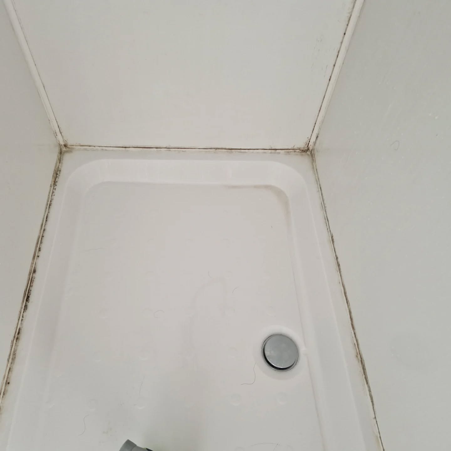 Guests in for 2 weeks and our housekeeping team had the job of getting the shower tray back to its sparkling best for the arriving guests today.
#housekeepingservices #housekeeping #sparklingclean #cleaning #holidaycottage #holidayhome #Rye #Camber #battle