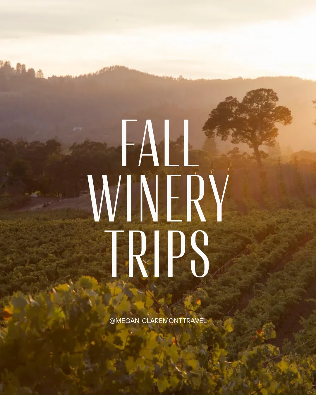 Sonoma, Healdsburg, and Napa are the go-tos for wine country, but Southern California and Oregon have some amazing options too…
In order:
@solageauberge - I love an @auberge property- sense of place and amazing cuisine
@stanlyranchauberge (another @auberge option!)
@fairmontsonoma - classic Napa
@themadrona -relatively new and getting rave reviews - the perfect “Victorian charm meets wine country” vibe. I rally don’t know if you’d even want to leave the property…
@palisociety Palihouse Santa Barbara is a perfect home base for exploring Southern California’s vineyards and offers a touch of beach-chic coastal town
@allisoninnspa willamette, Oregon, might not be the first thought for wine, but this is a fantastic choice … The Allison Inn and Spa is the absolutely top option
#winecountry #travelbetter